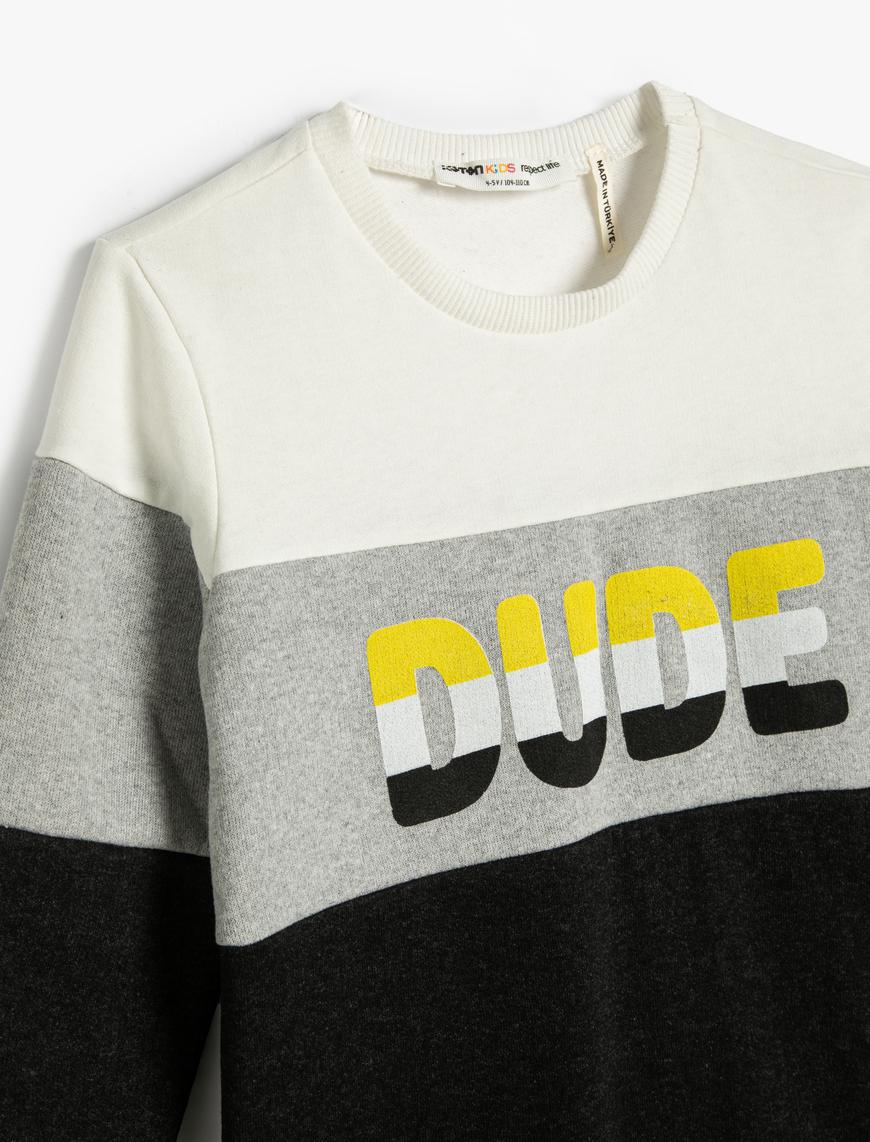  Erkek Çocuk Sweatshirt Şardonlu Renk Bloklu Bisiklet Yaka Baskılı