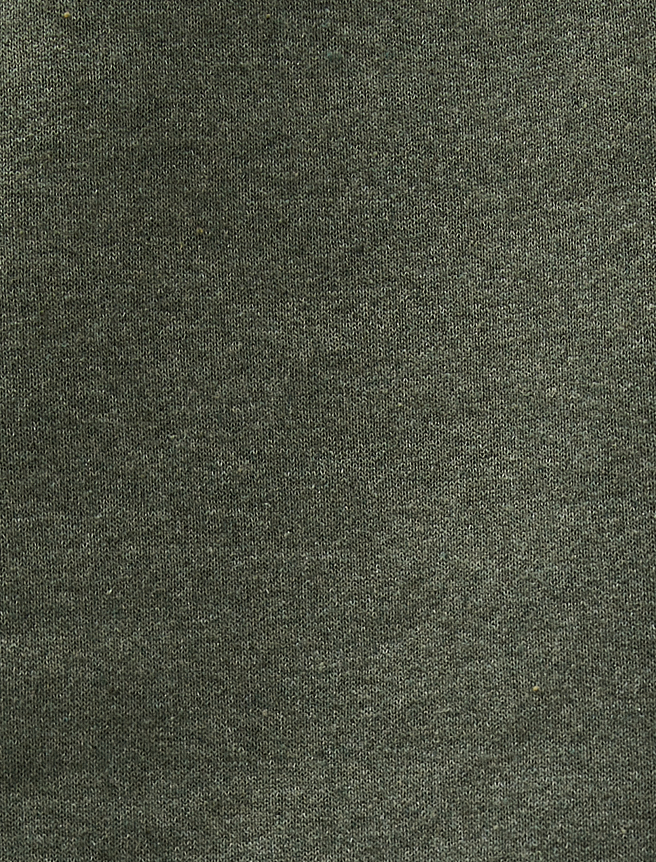   Basic Sweat Yarım Fermuarlı Dik Yaka Uzun Kollu Şardonlu