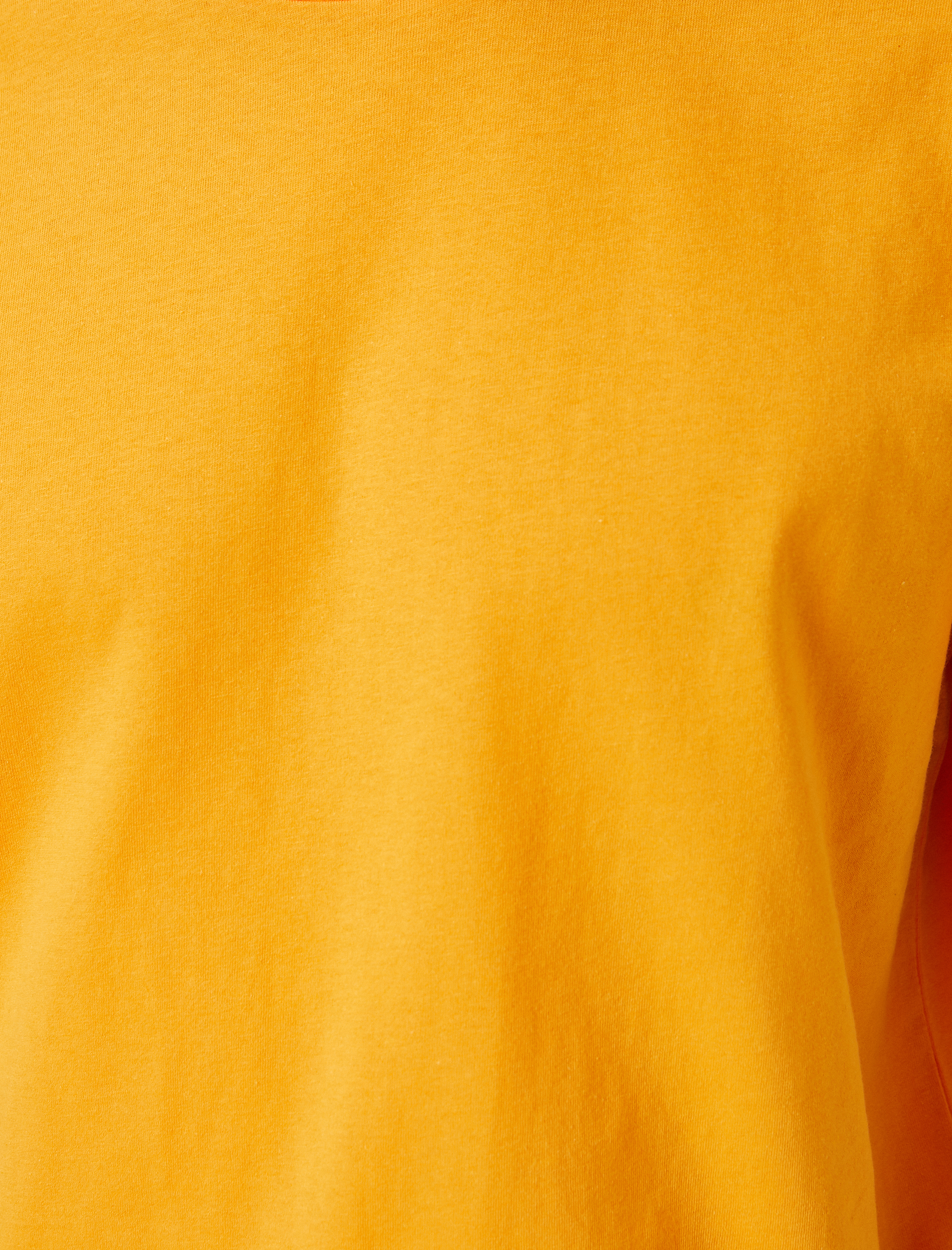   Basic Tişört Bisiklet Yaka