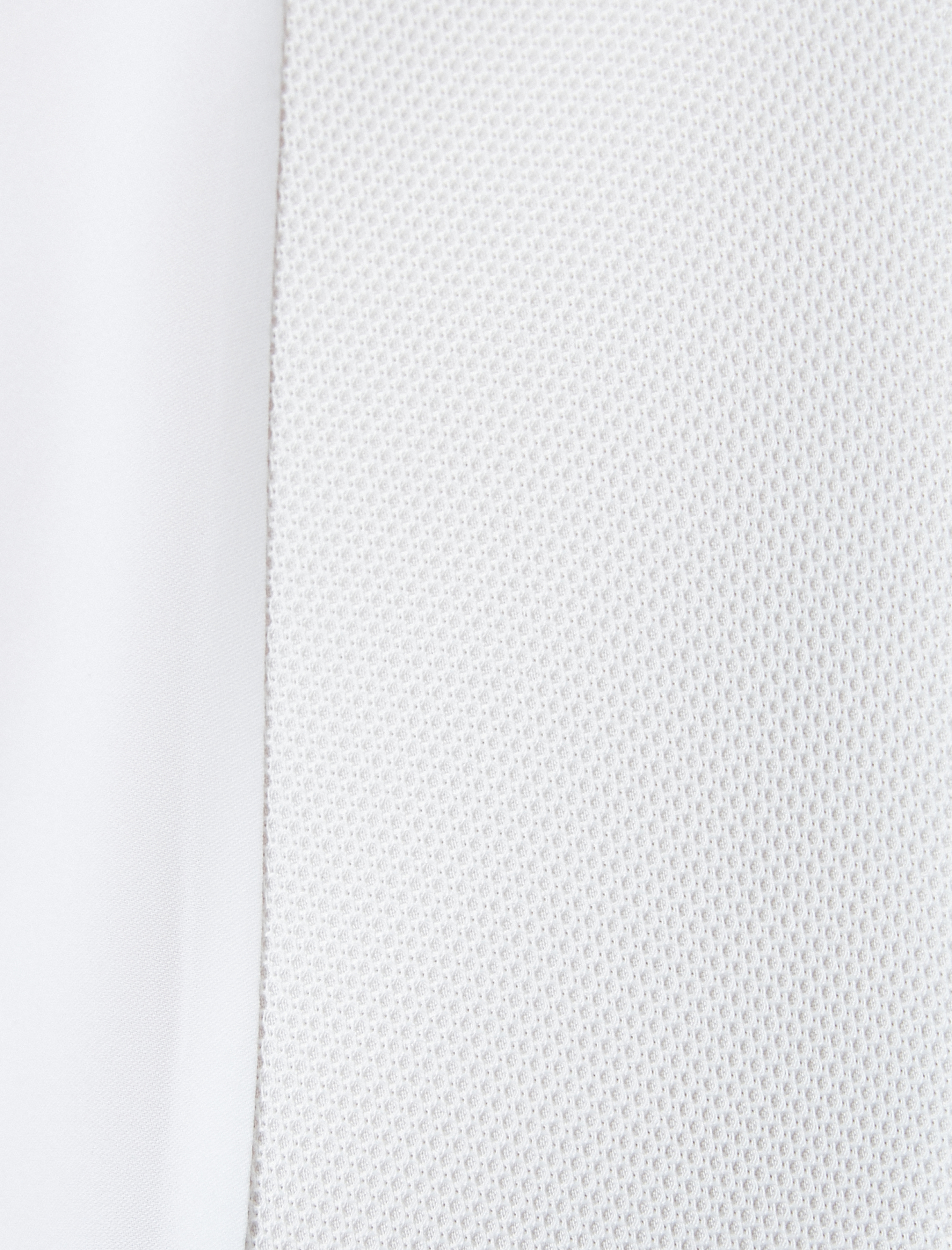 Hakim Yaka Gömlek Kısa Kollu Robalı