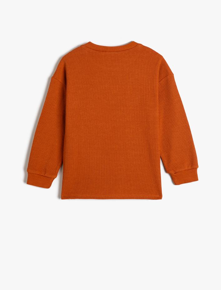 Erkek Çocuk Tişört Uzun Kollu Bisiklet Yaka Doğa Temalı Baskı Detaylı Pamuklu