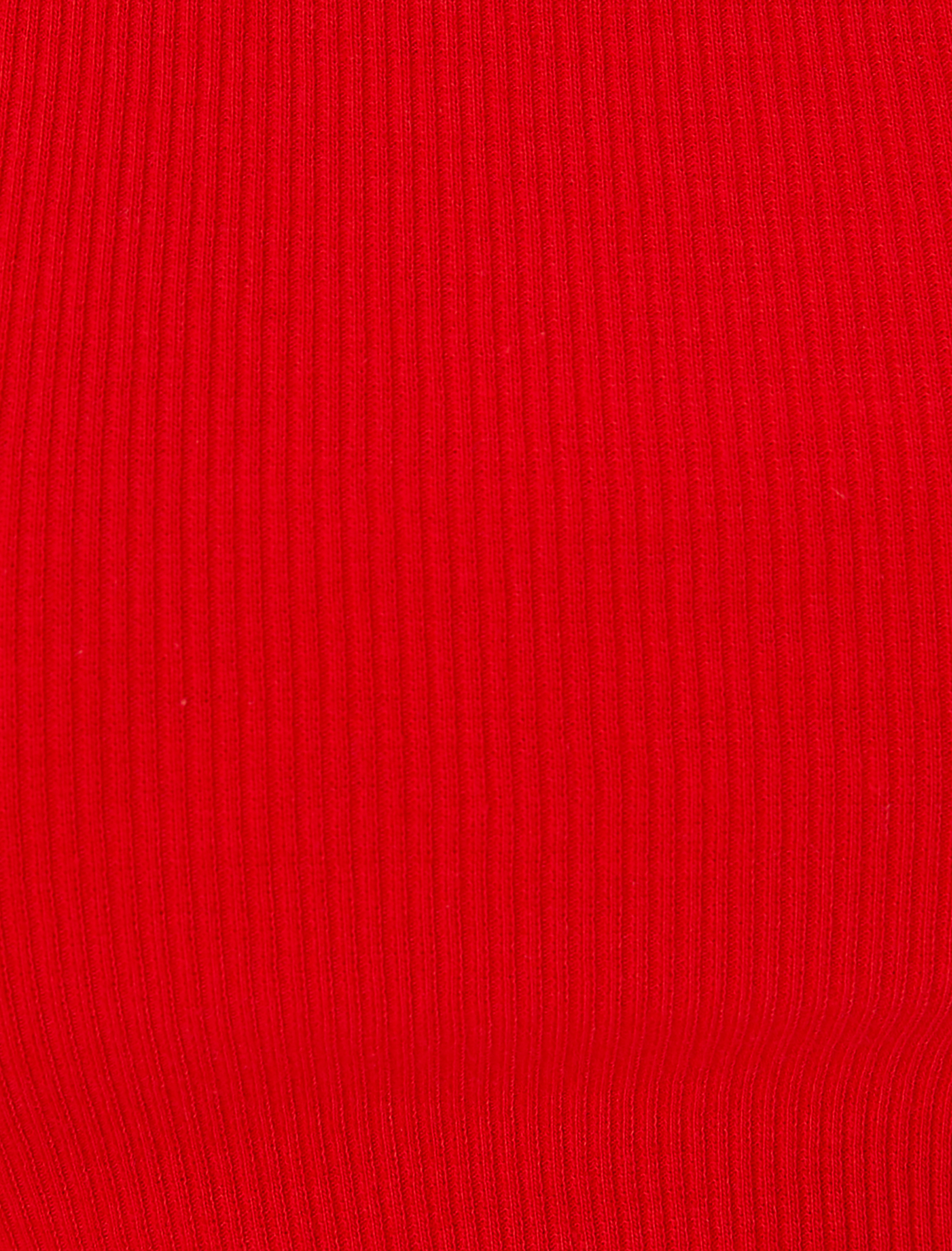   Crop Basic Halter Yaka Atlet Ribanalı Pamuklu Slim Fit