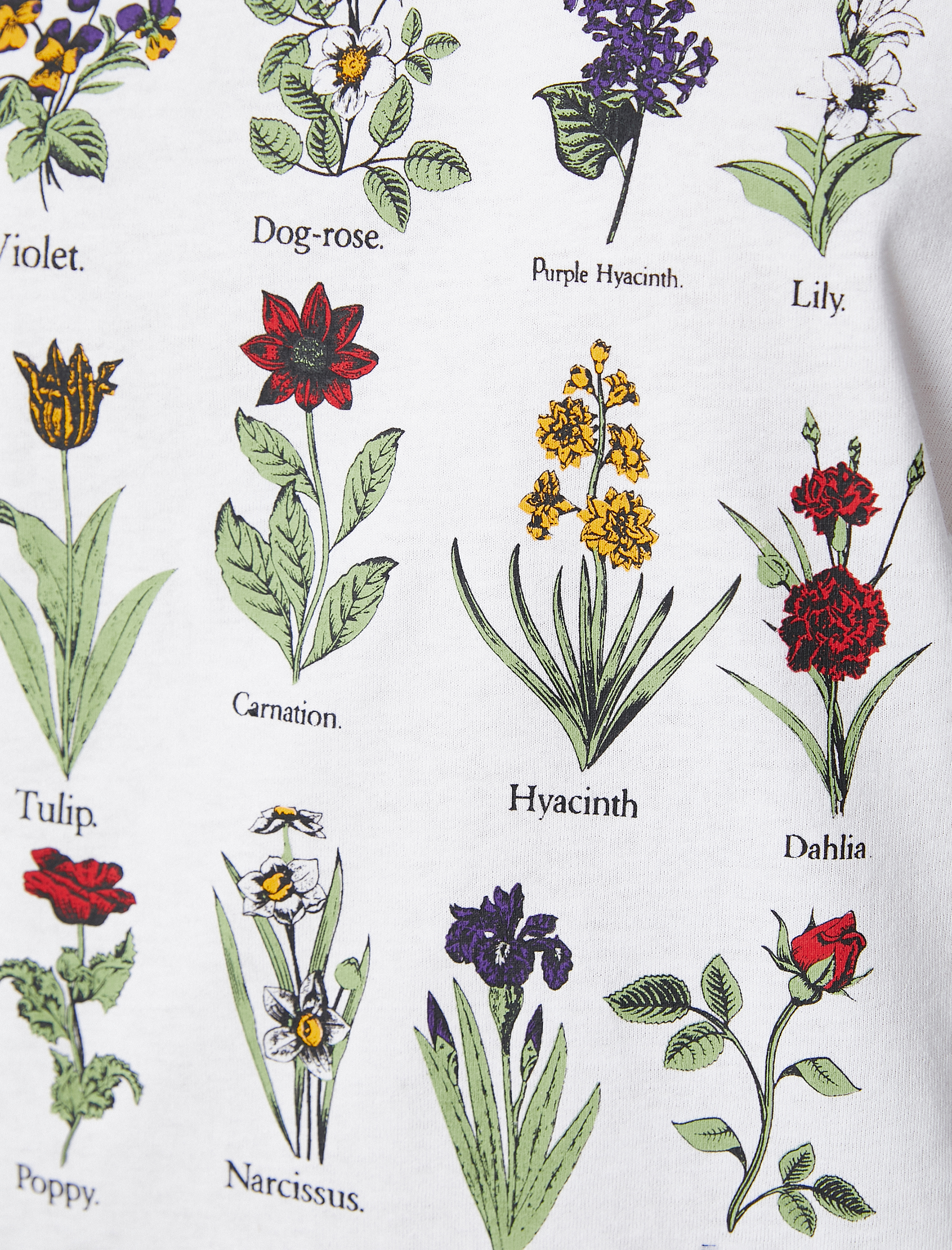   Çiçek Baskılı Tişört Bisiklet Yaka Kısa Kollu