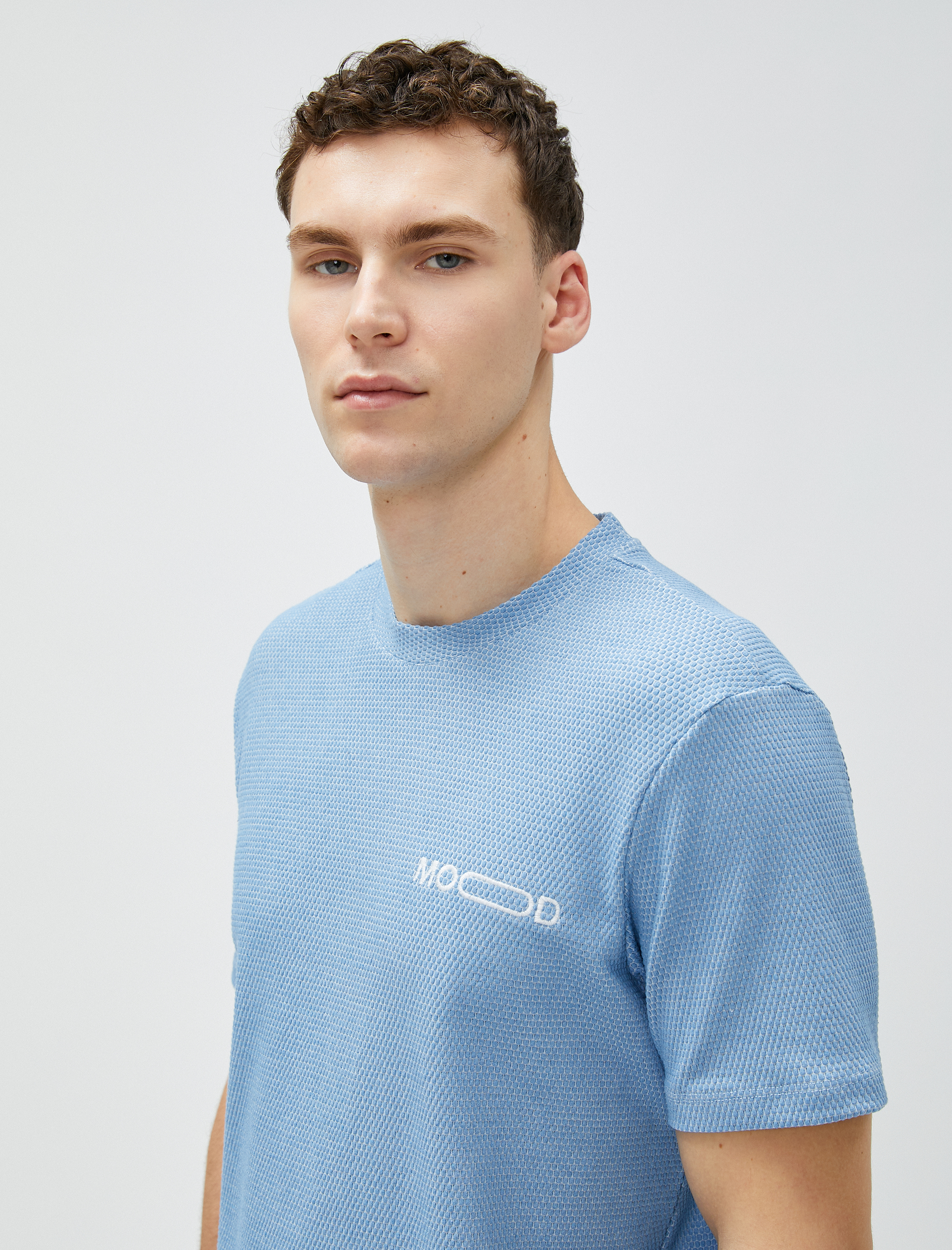   Slim Fit Tişört Kısa Kollu Bisiklet Yaka Dokulu