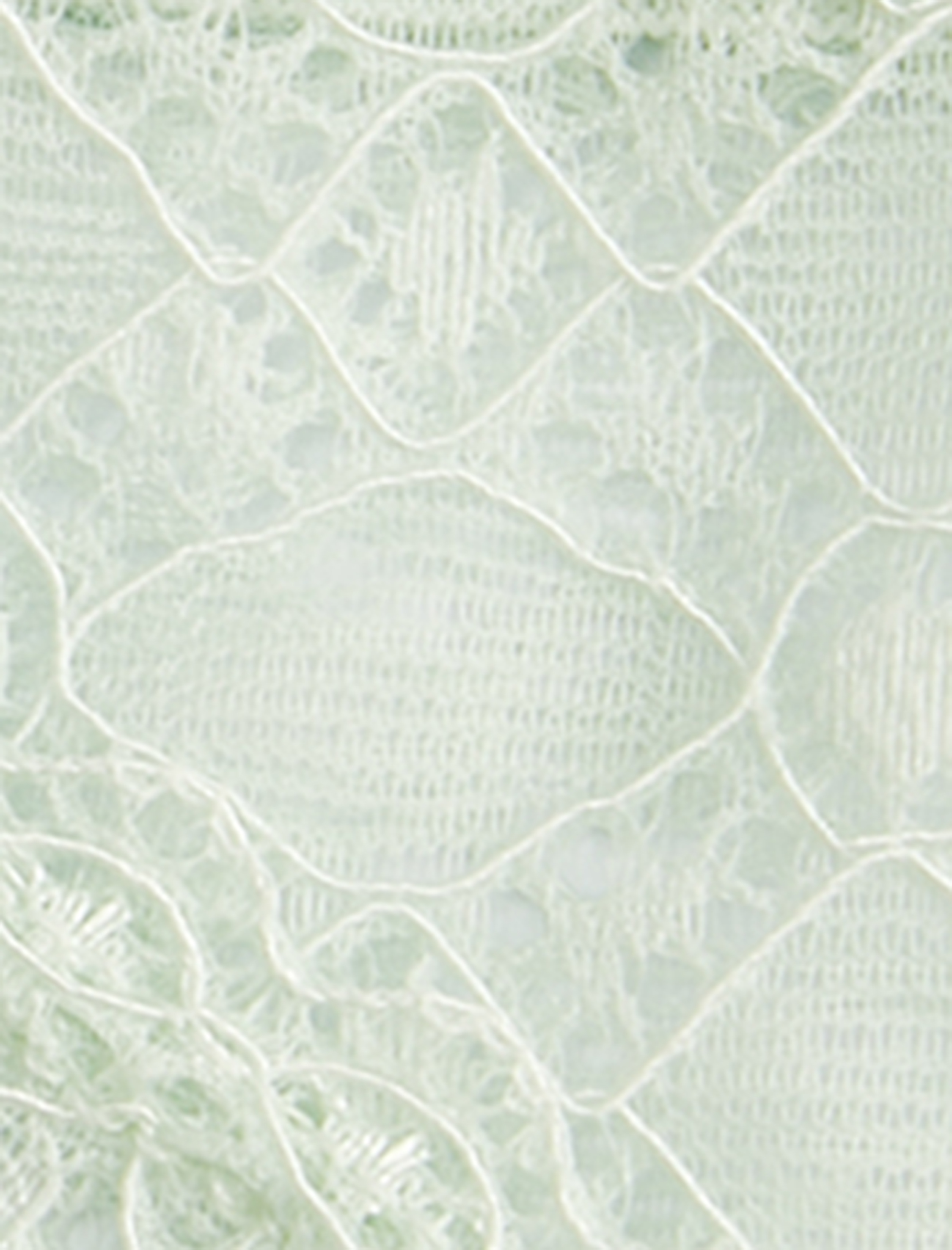   Brief Dantelli Külot Normal Bel