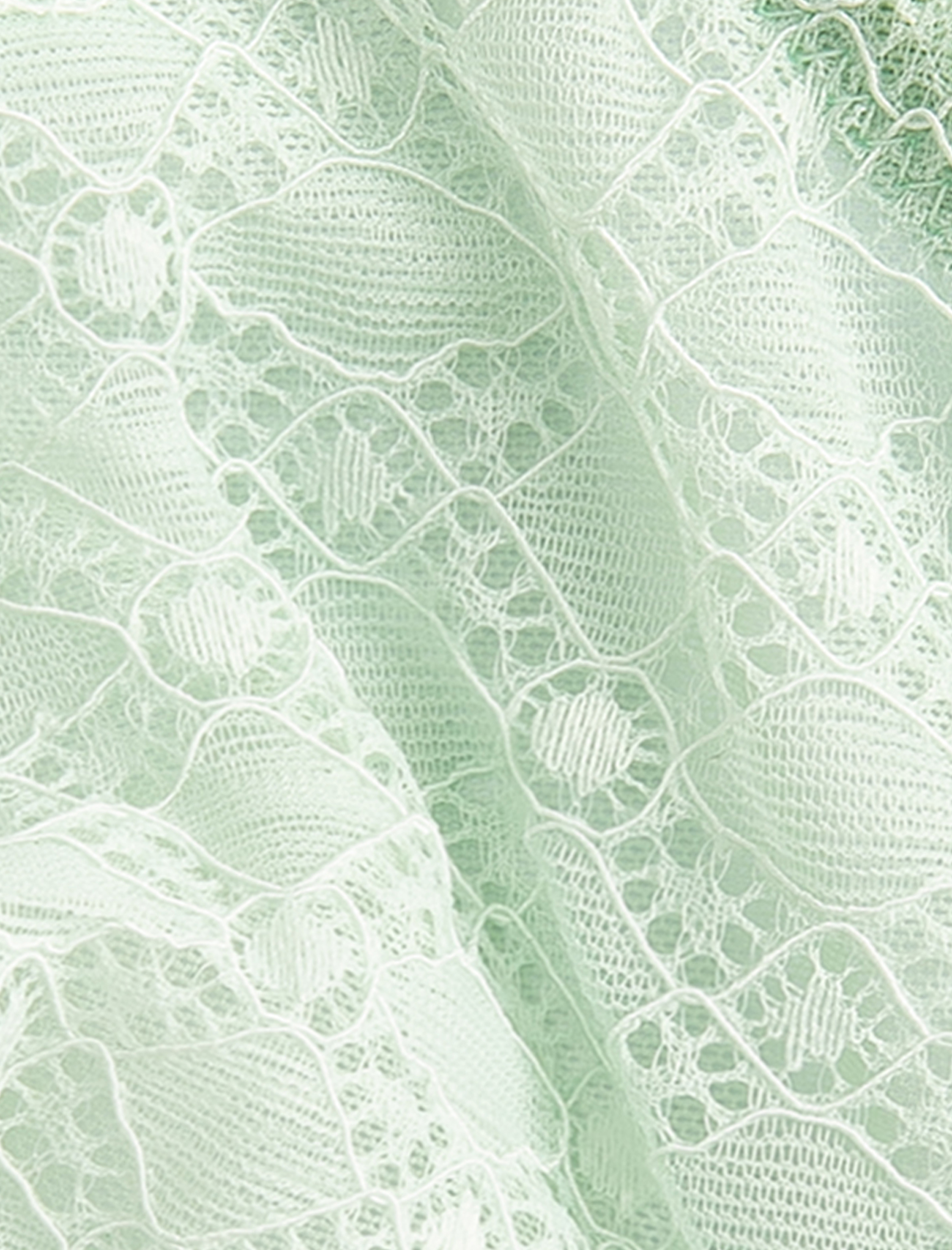   Dolgusuz Balenli Sütyen Dantelli