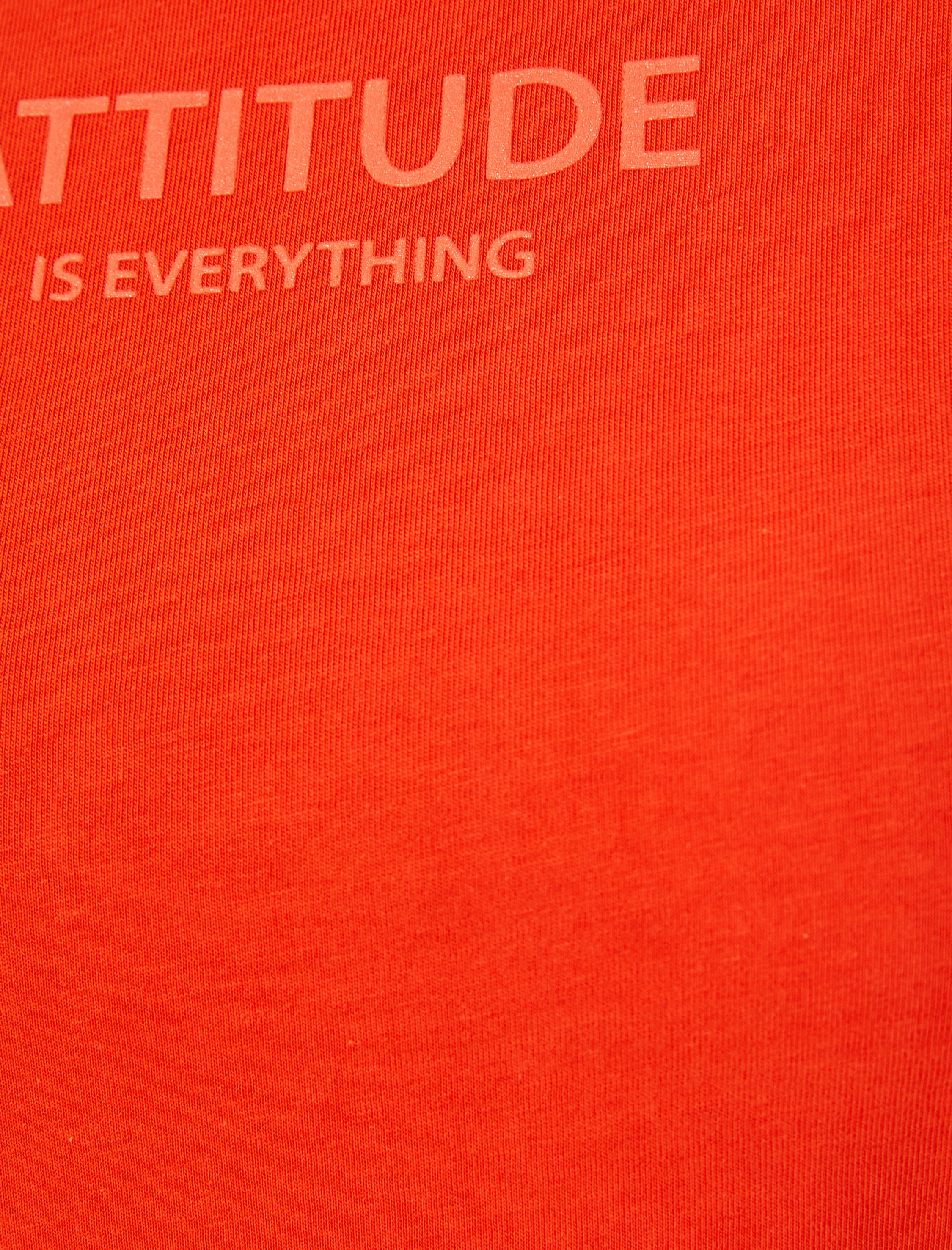   Slogan Baskılı Tişört Bisiklet Yaka Kısa Kollu Pamuklu