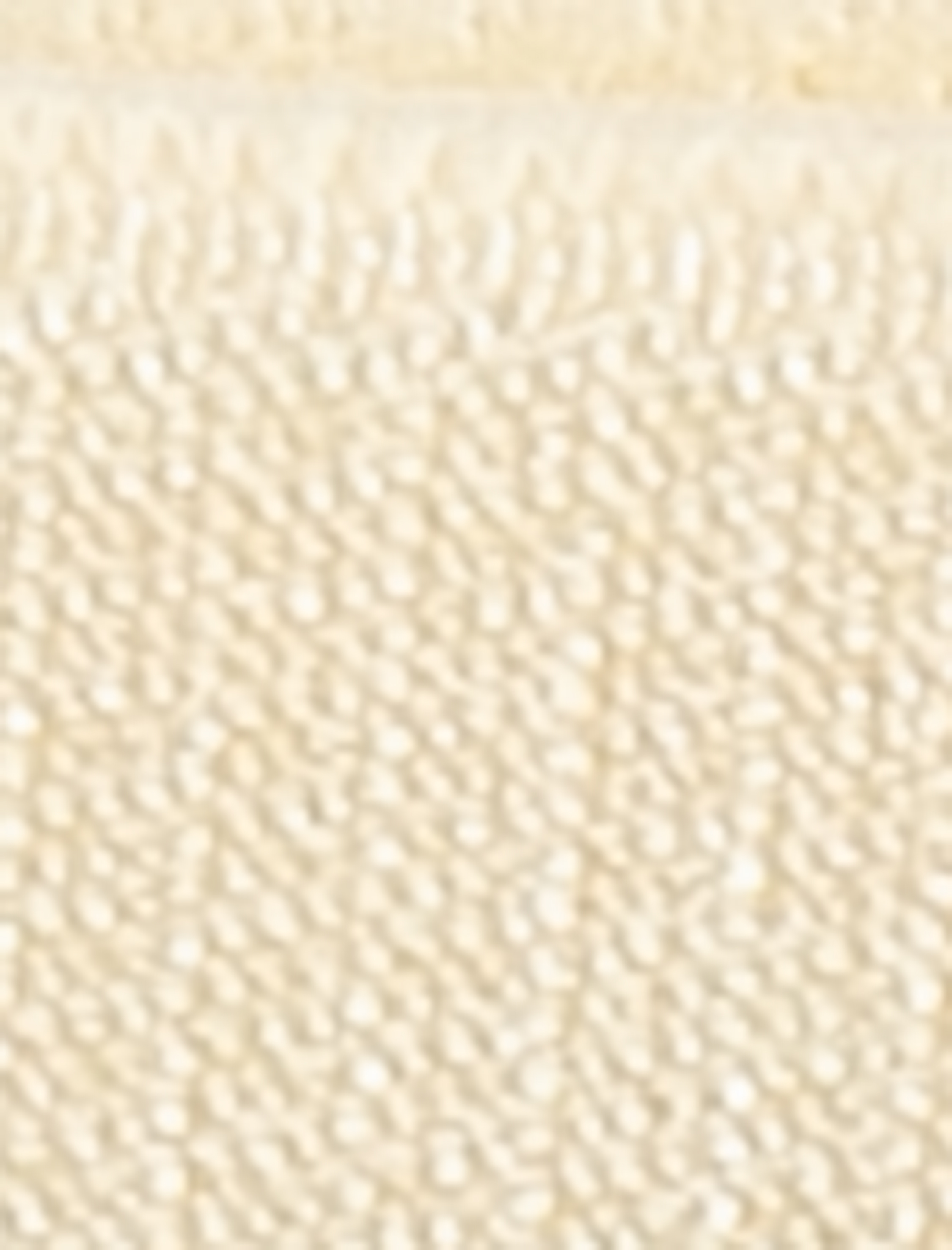Dantelli String Külot