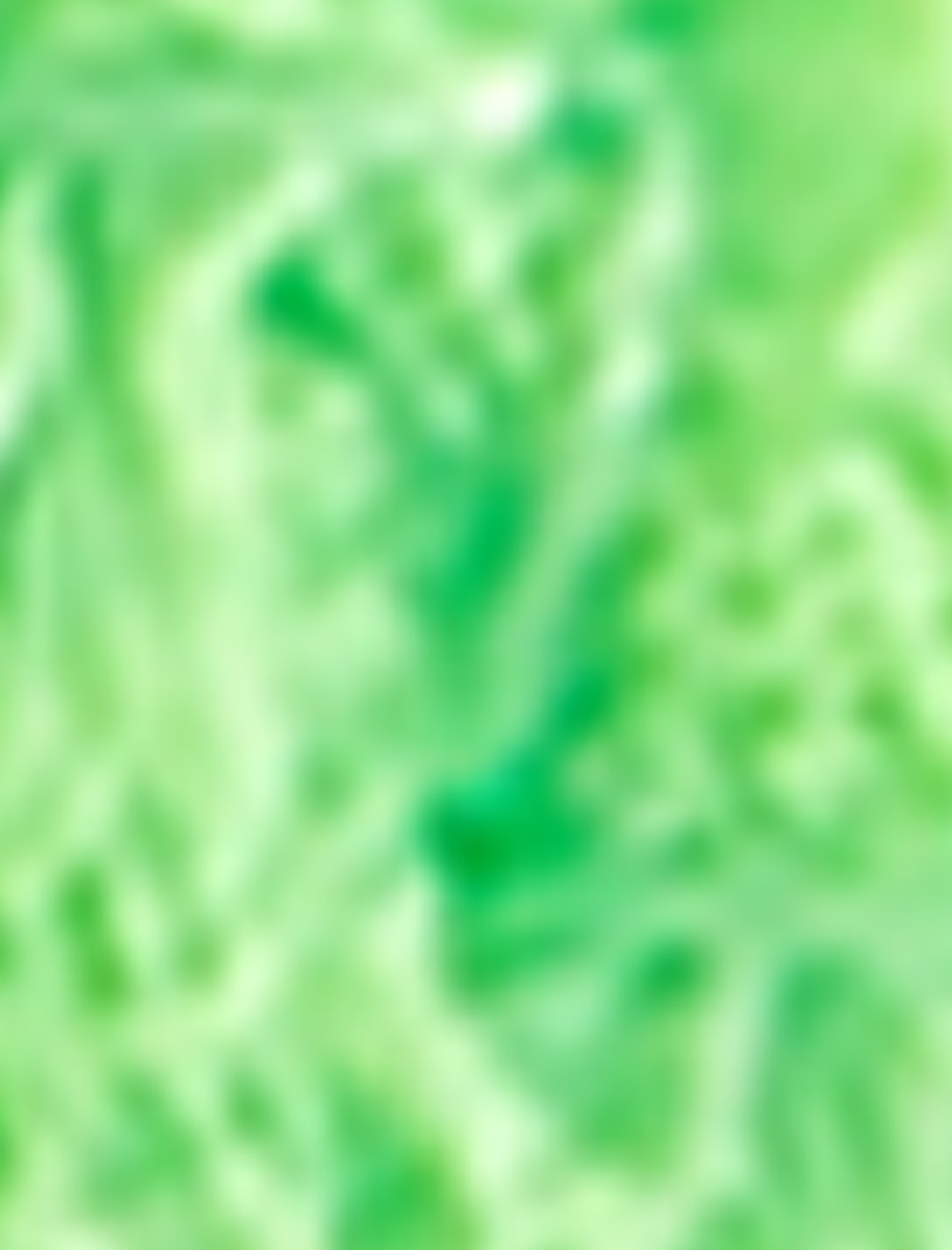   Dantelli String Külot