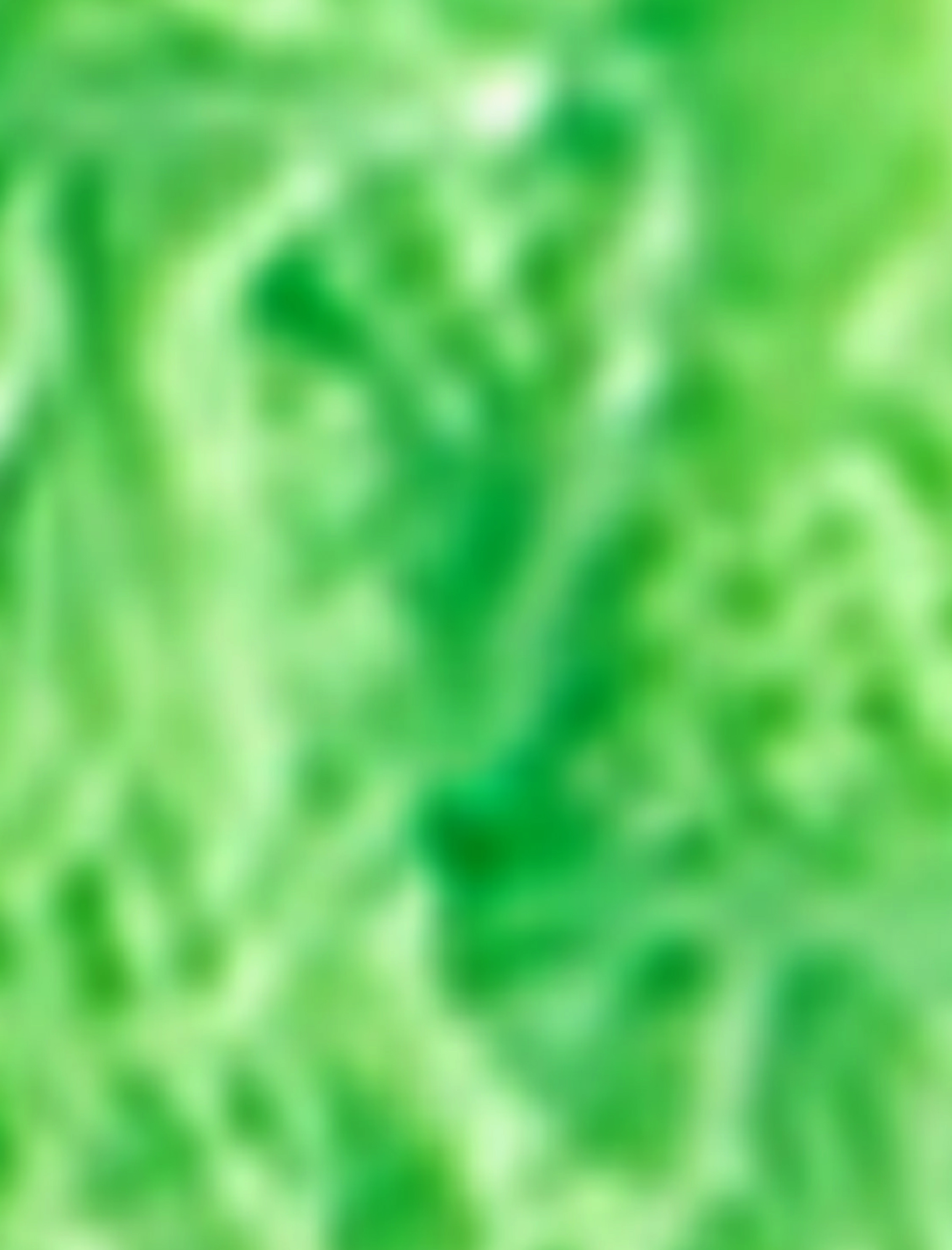   Dantelli String Külot