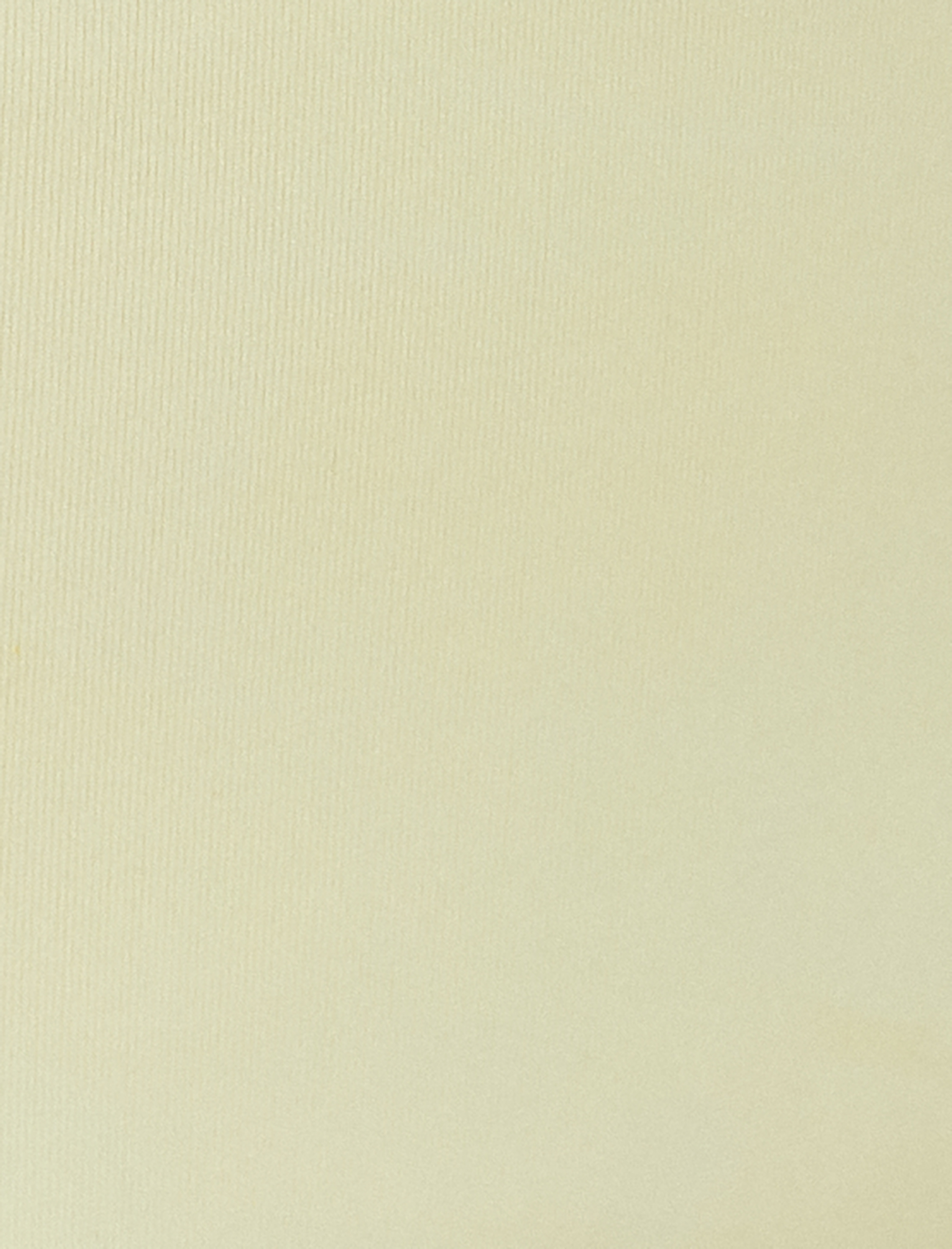   Koton X Sibil Çetinkaya - Basic Bikini Altı İşleme Detaylı Normal Bel