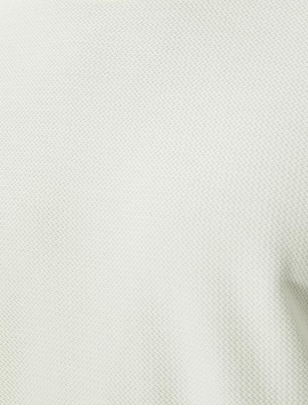 Basic Tişört Slim Fit Bisiklet Yaka Kısa Kollu Dokulu_5