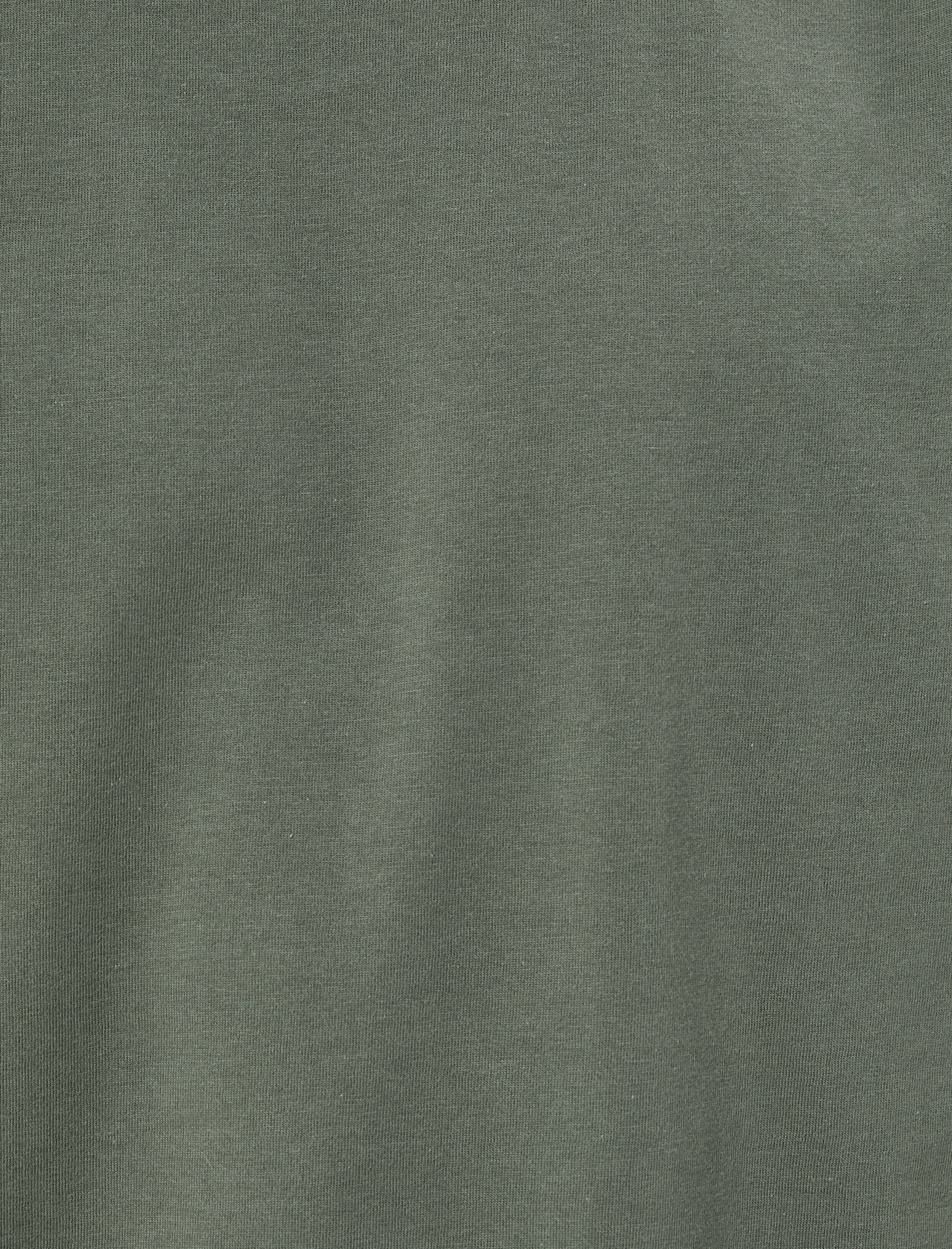   Basic Tişört Slim Fit Bisiklet Yaka Kısa Kollu Pamuklu