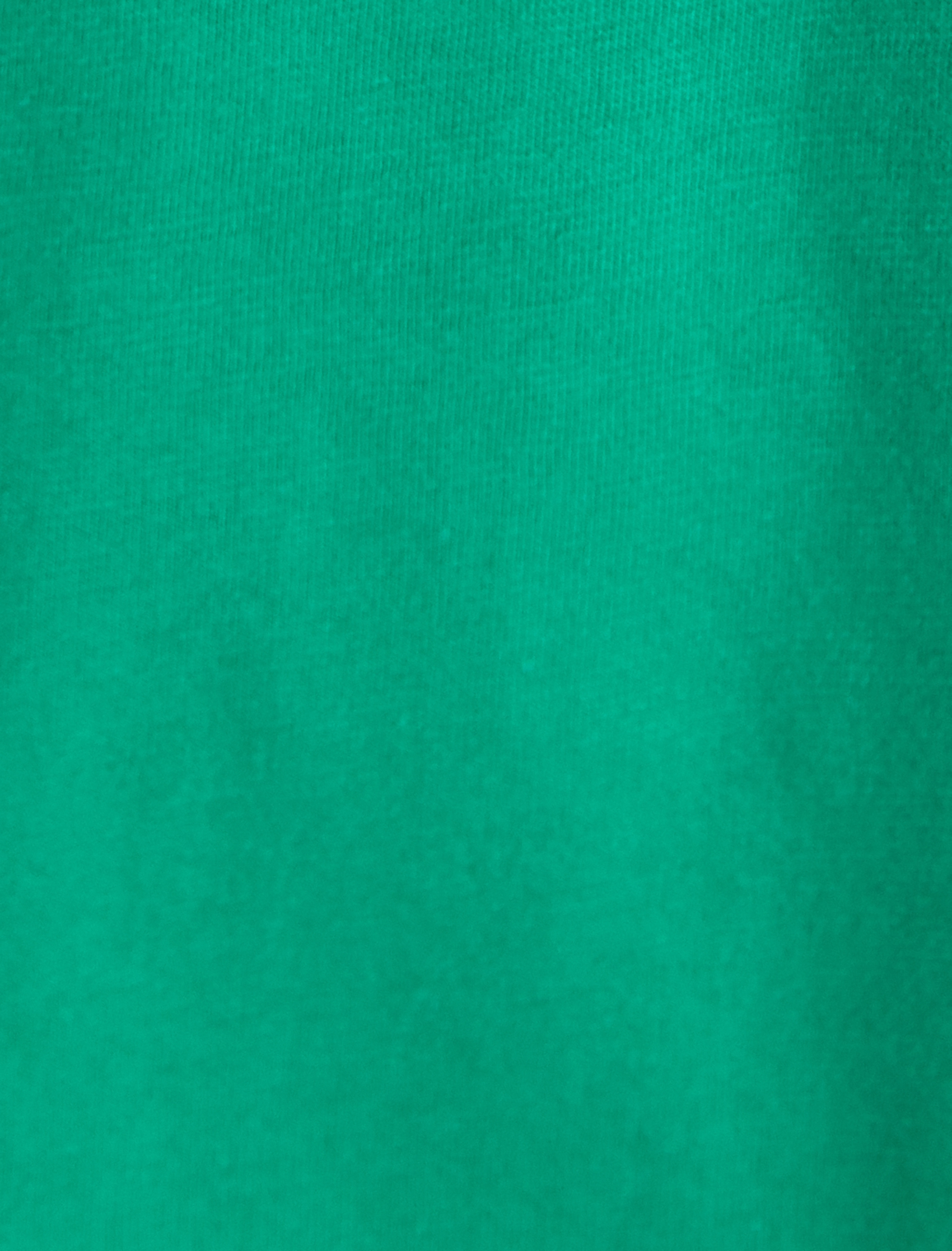   Bugs Bunny Tişört Lisanslı Arkası Baskılı Kısa Kollu Bisiklet Yaka