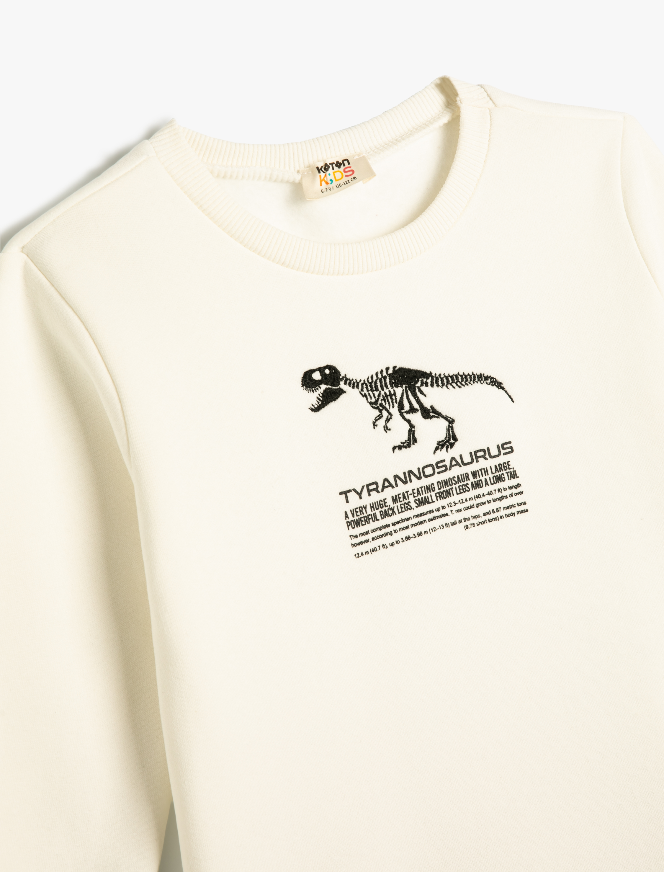  Erkek Çocuk Sweatshirt Dinozor Baskılı Bisiklet Yaka Uzun Kollu Şardonlu