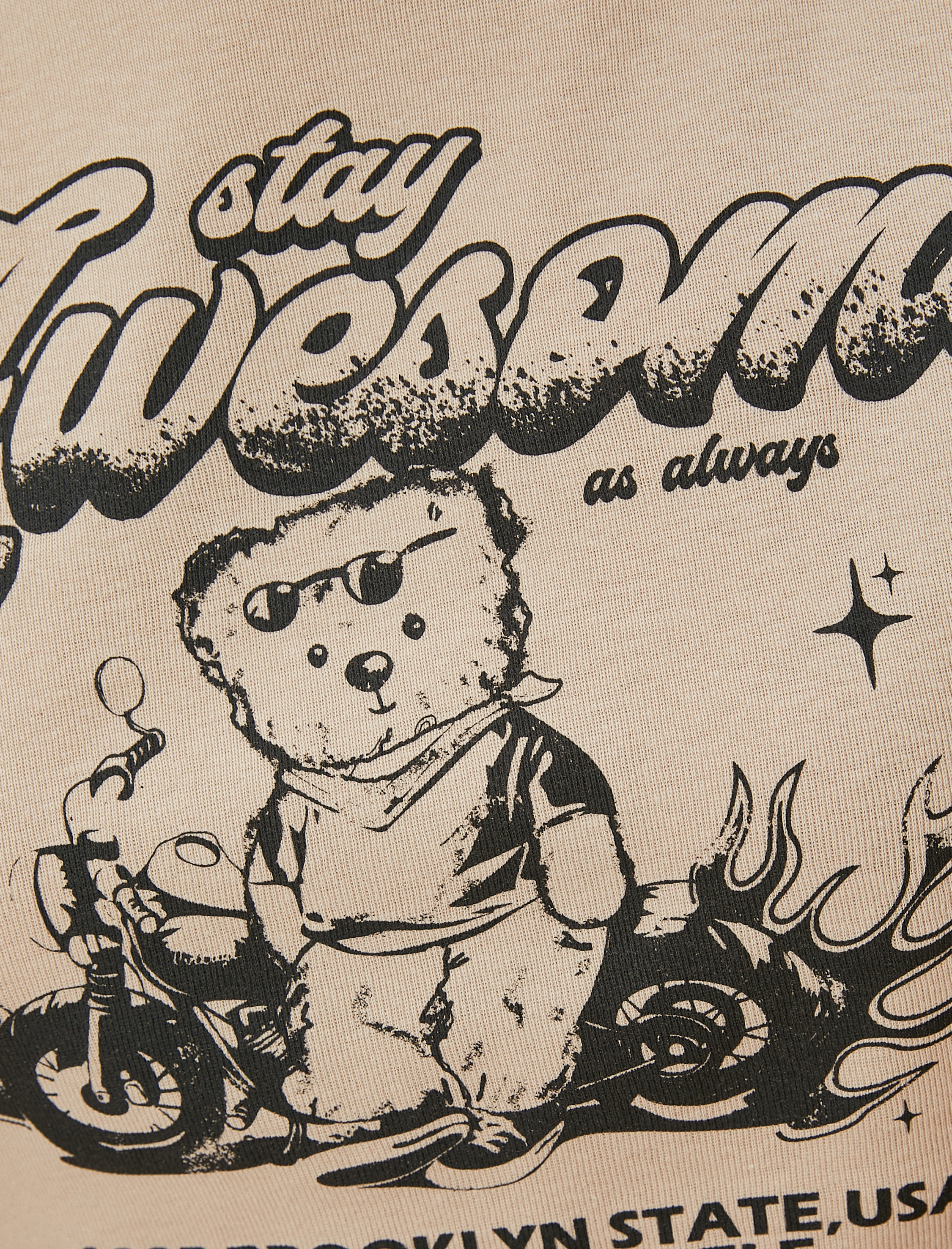   Ayıcık Baskılı Crop Tişört Slim Fit Kısa Kollu Bisiklet Yaka Pamuklu