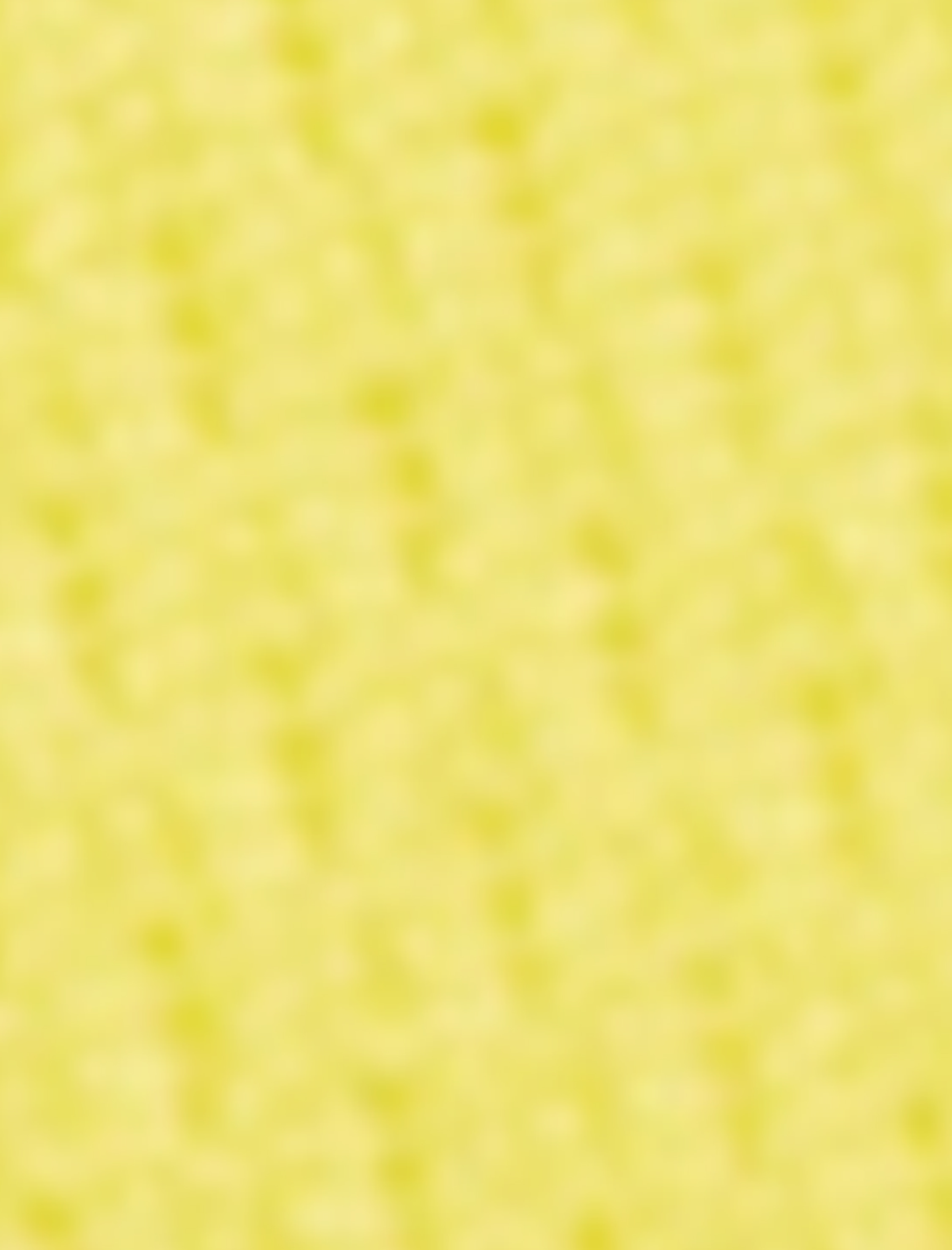  Kız Çocuk Crop Tişört Brasil Baskılı Kısa Kollu Bisiklet Yaka