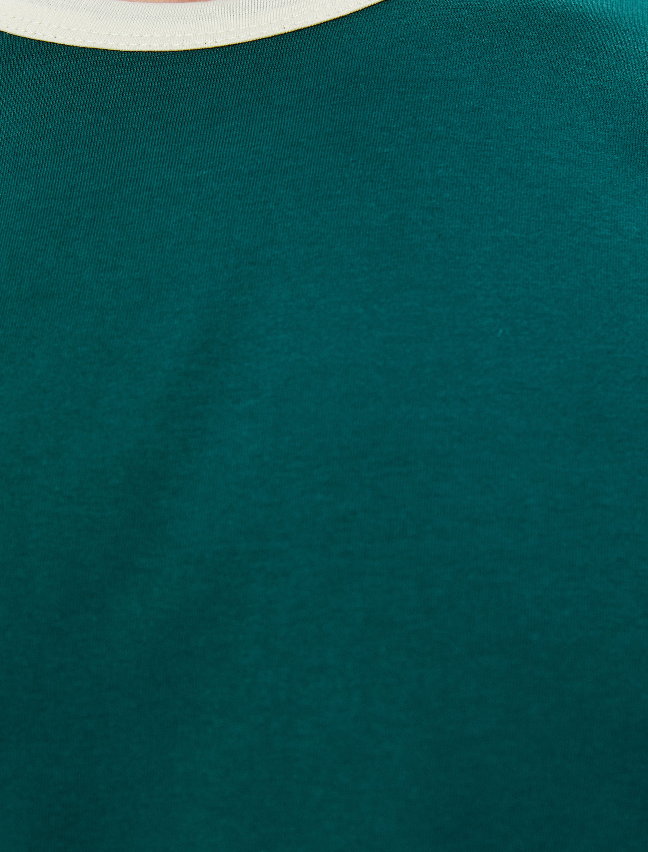 Slim Fit Tişört Biyeli Kısa Kollu Bisiklet Yaka Pamuklu