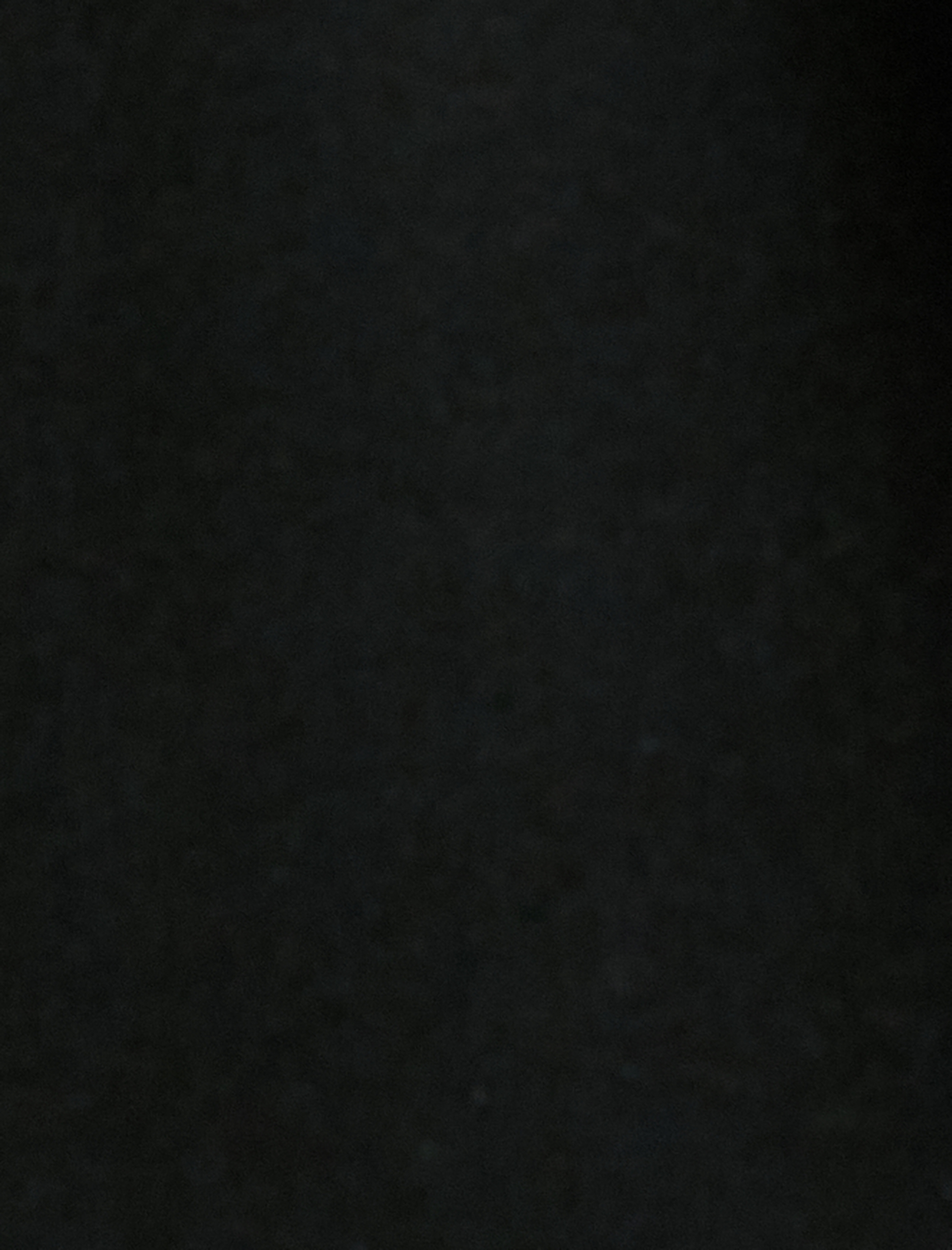   Polo Yaka Tişört Minimal Baskılı Düğmeli Kısa Kollu