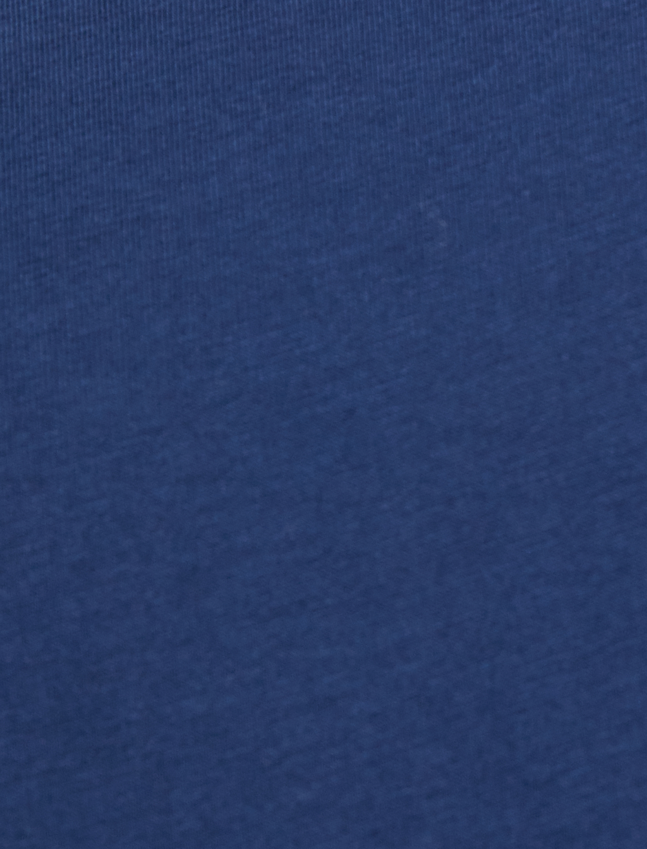   Slim Fit Tişört Biyeli Kısa Kollu Bisiklet Yaka Pamuklu