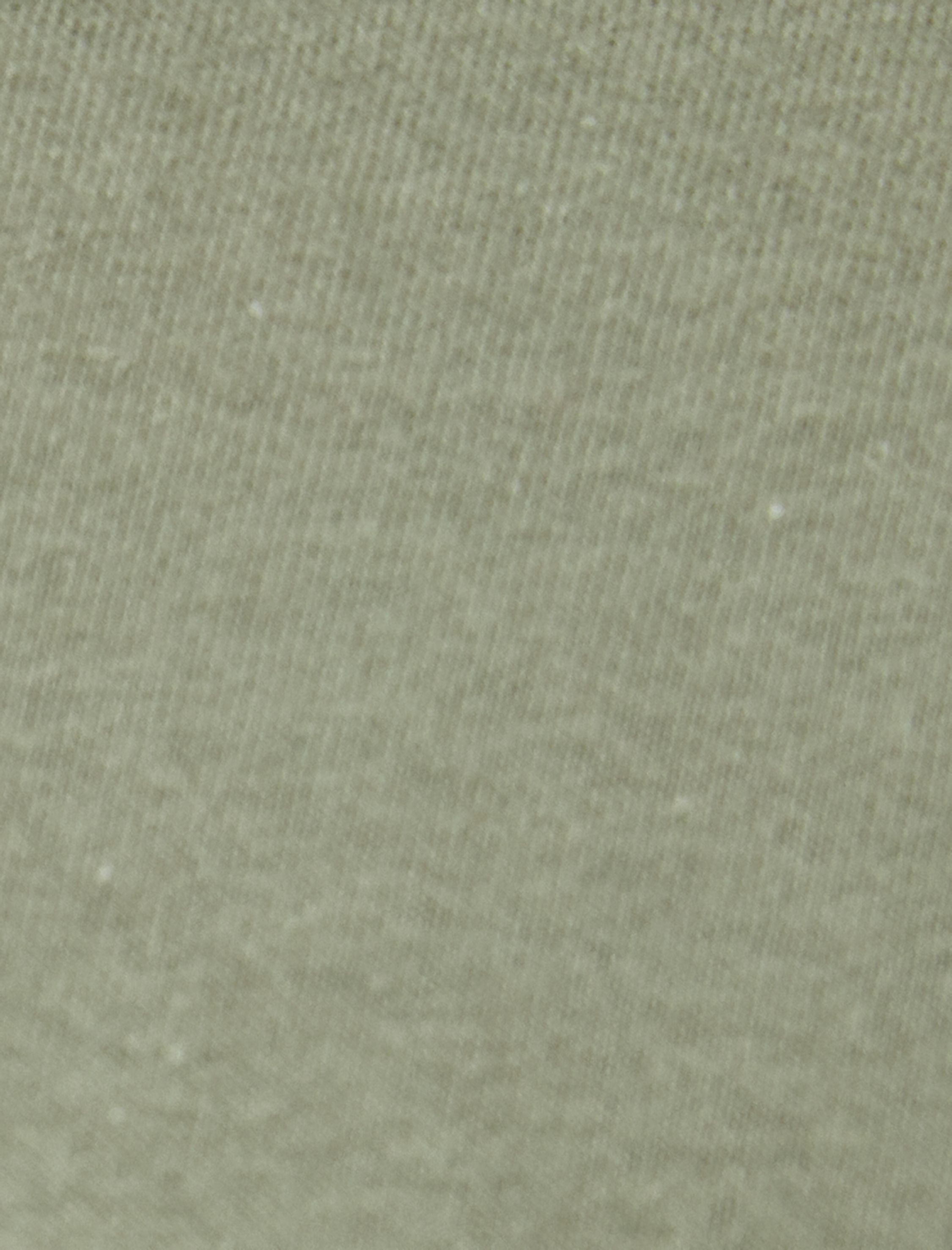   Slogan Baskılı Tişört Kısa Kollu Bisiklet Yaka Pamuklu