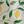 Koton X Sibil Çetinkaya - Beli Bağcıklı Meyve Desenli Şort-1D5