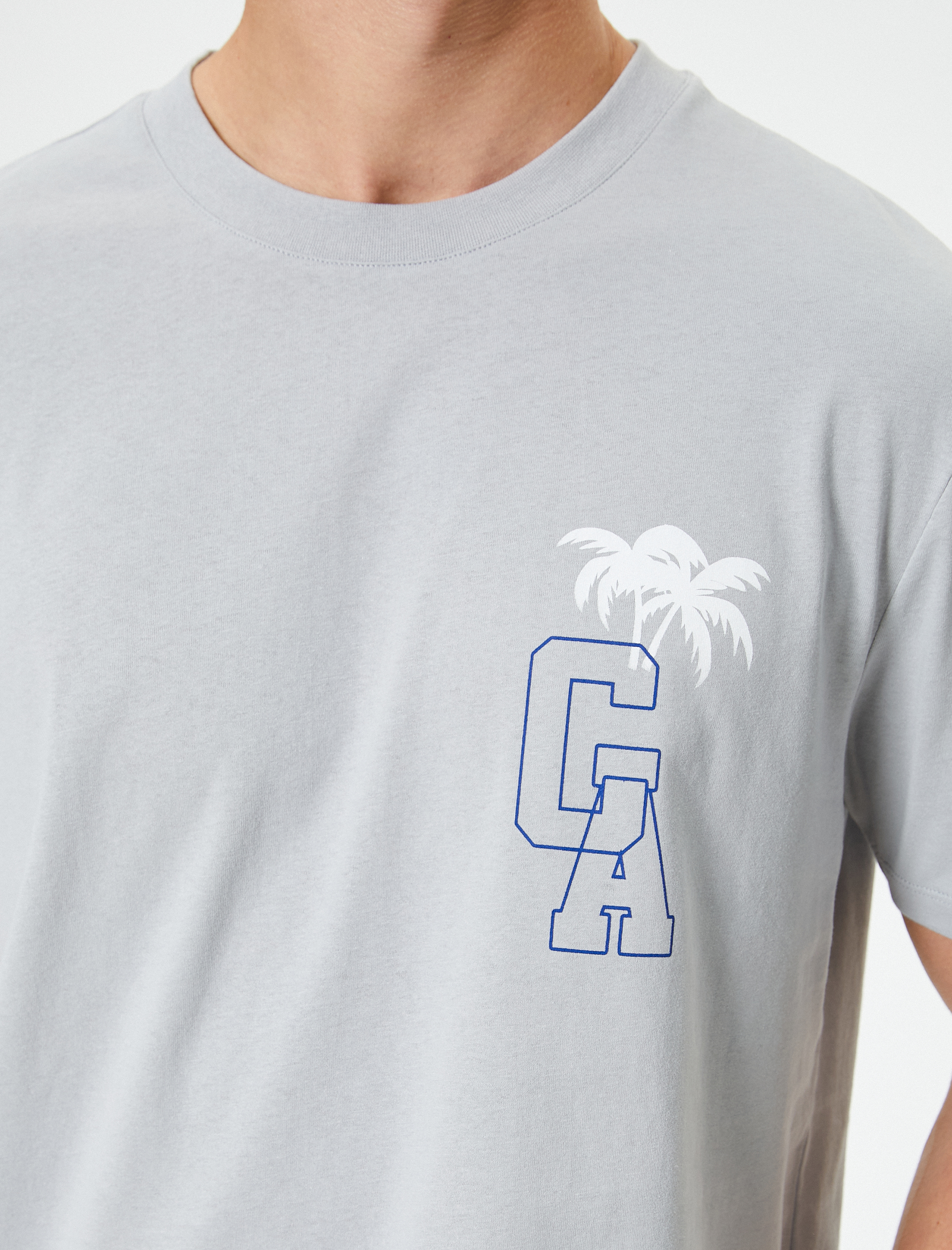   Baskılı Tişört Kısa Kollu Bisiklet Yaka Pamuklu