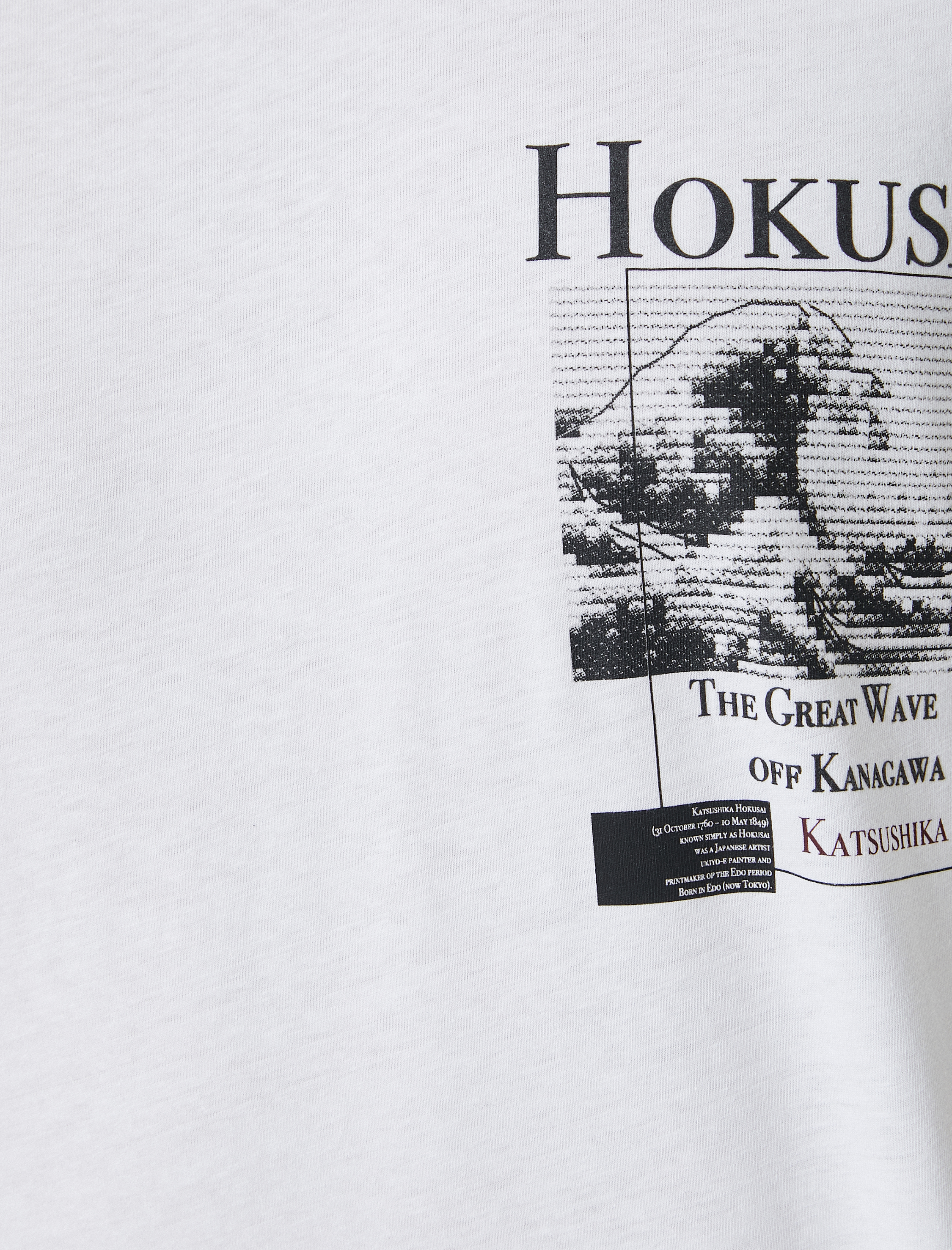   Hokusai Tişört Lisanslı Arkası Baskılı Kısa Kollu Bisiklet Yaka Pamuklu