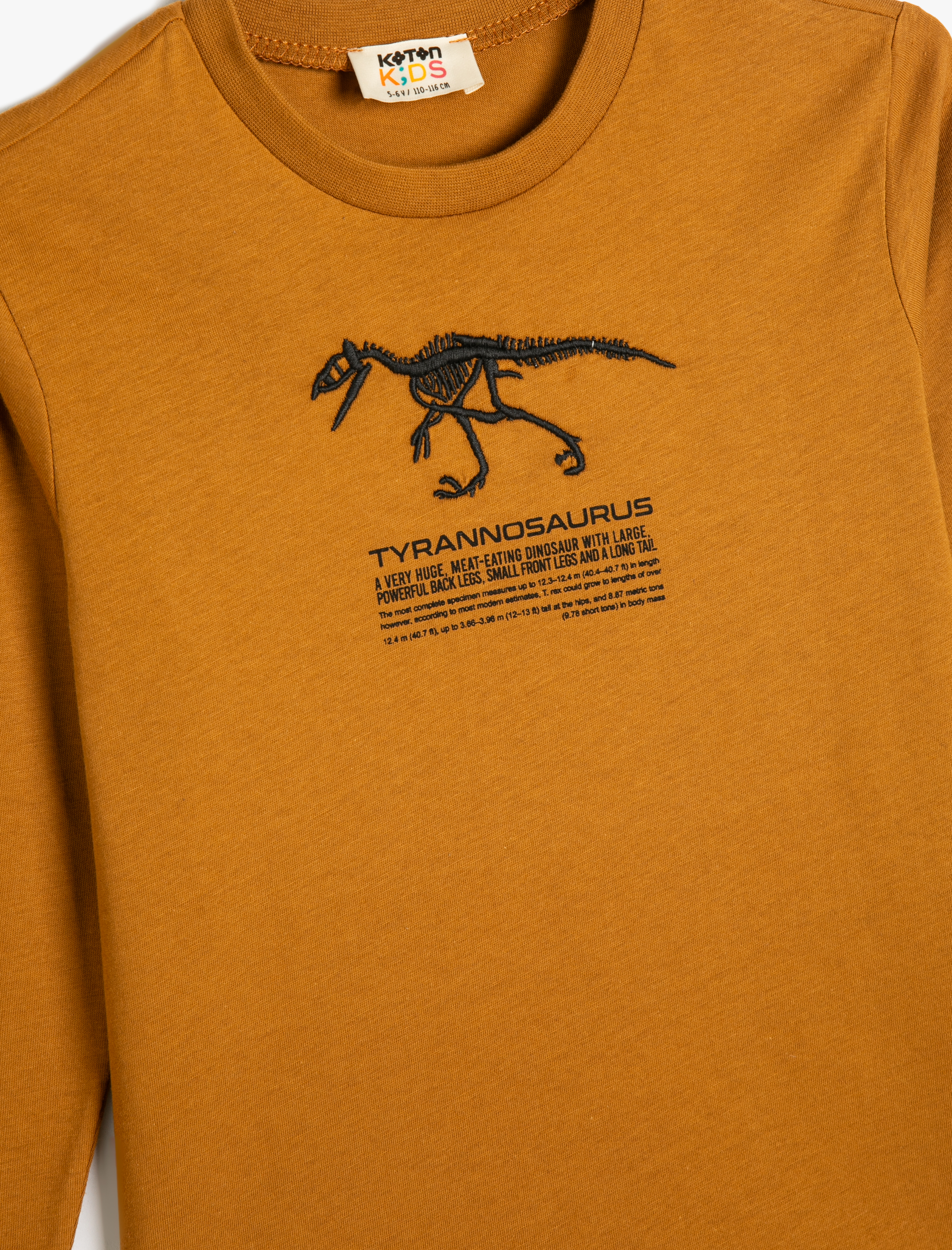  Erkek Çocuk Tişört Dinozor Baskılı Uzun Kollu Bisiklet Yaka Pamuklu