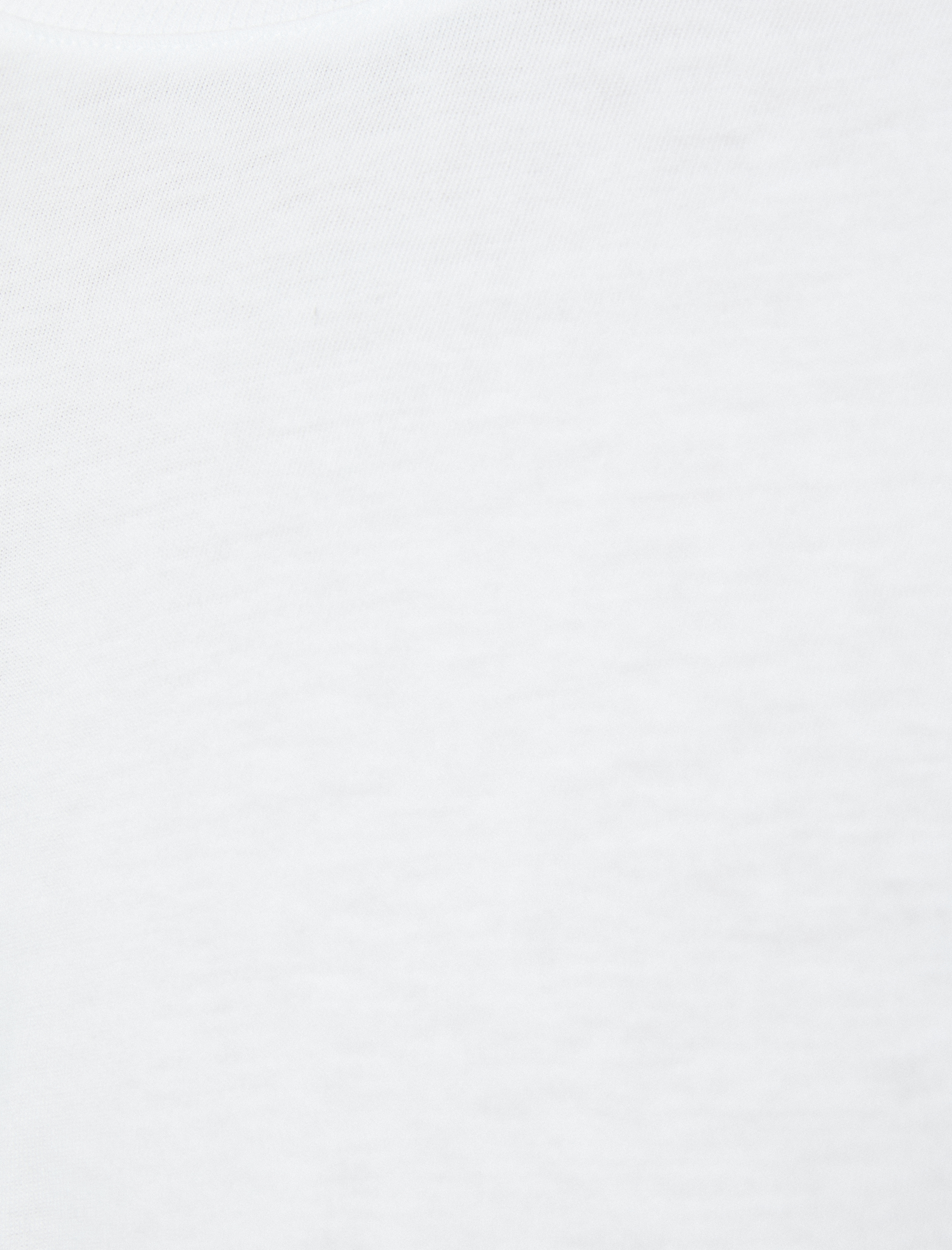   Bisiklet Yaka Pamuklu Regular Fit Kısa Kollu Tişört