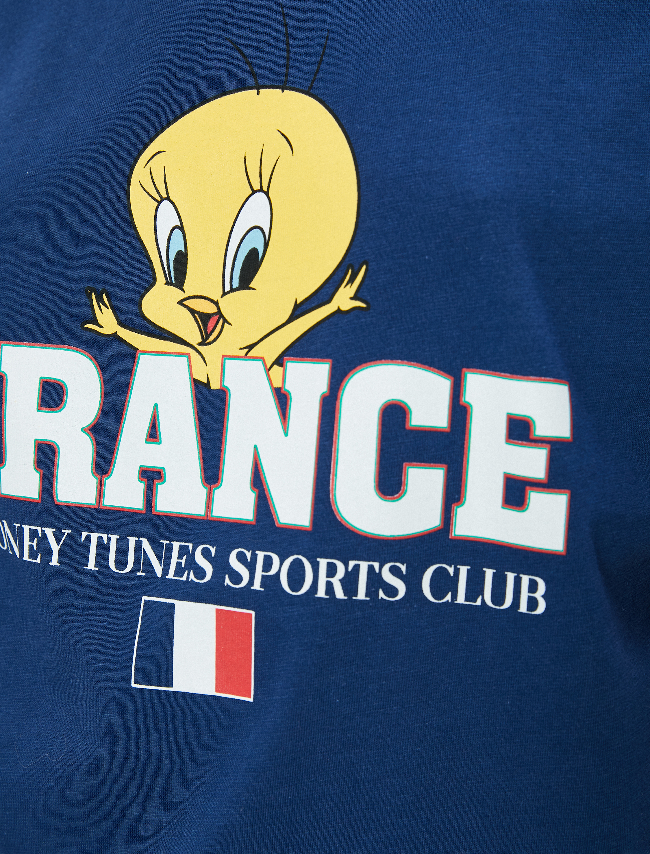   Tweety Oversize Tişört Lisanslı Baskılı Kısa Kolu