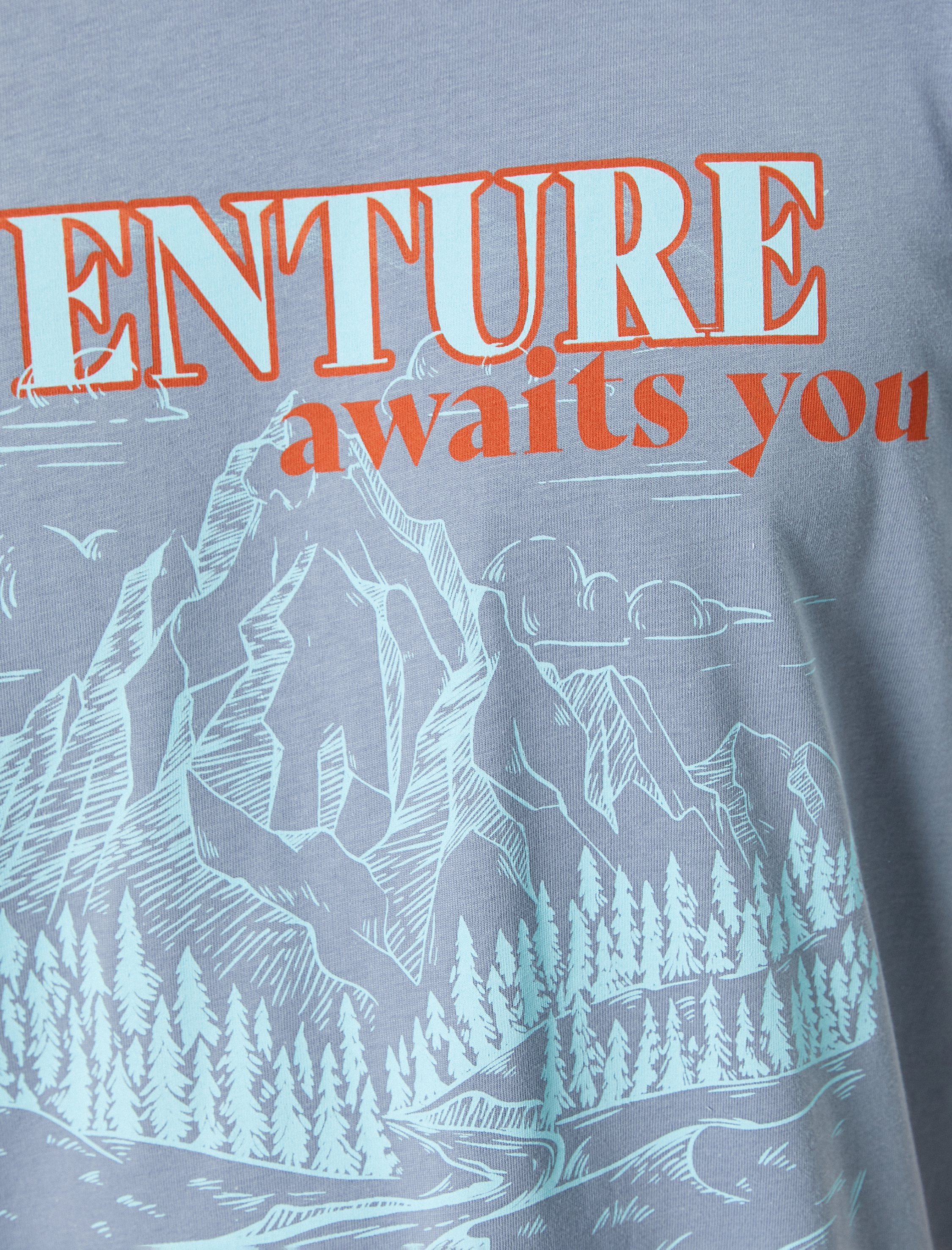   Baskılı Tişört Kısa Kollu Bisiklet Yaka Pamuklu