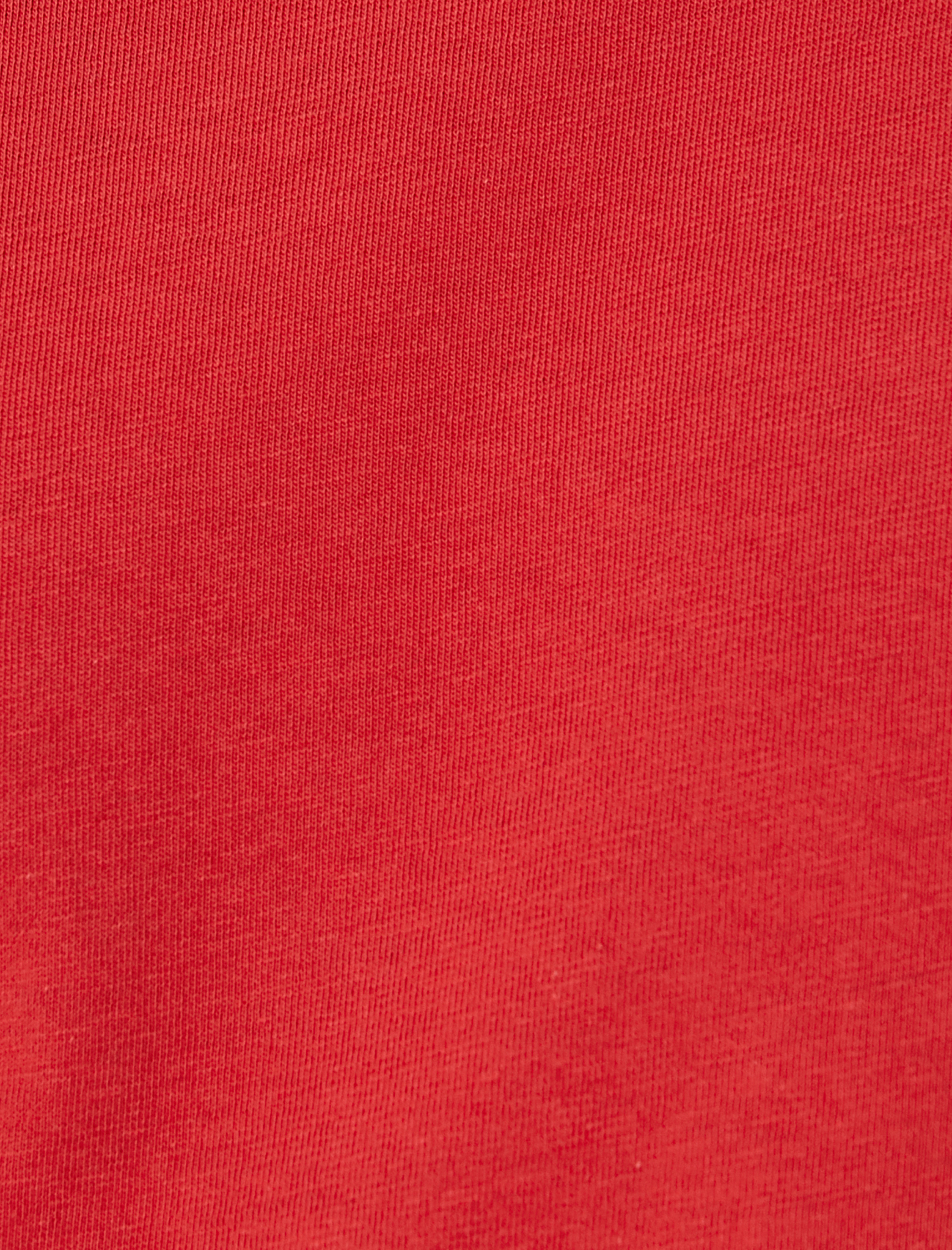   Basic Tişört Slim Fit Bisiklet Yaka Kısa Kollu