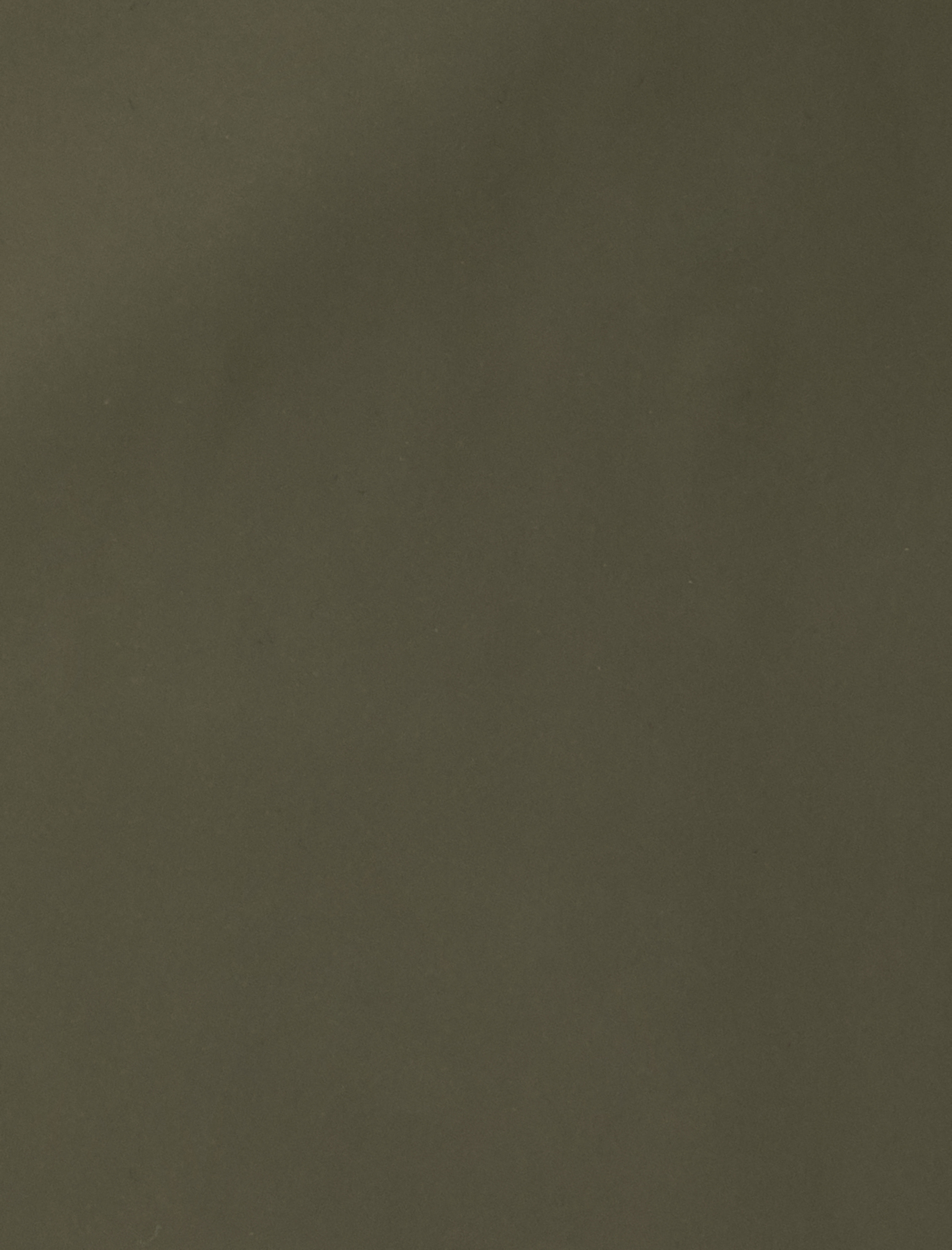 Mevsimlik Ceket Slim Fit Kapşonlu Fermuarlı