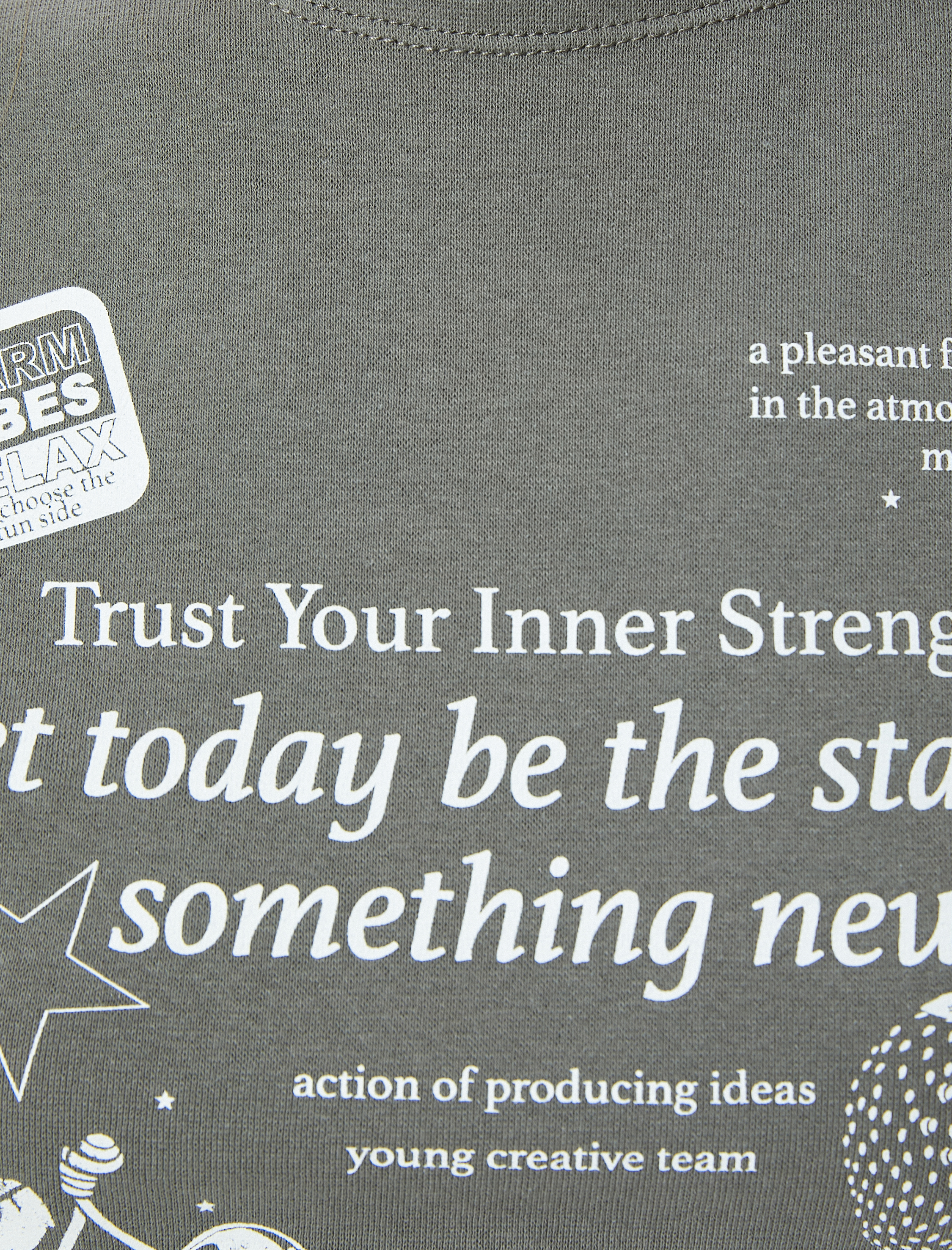   Crop Tişört Baskılı Kısa Kollu Bisiklet Yaka Pamuklu Slim Fit