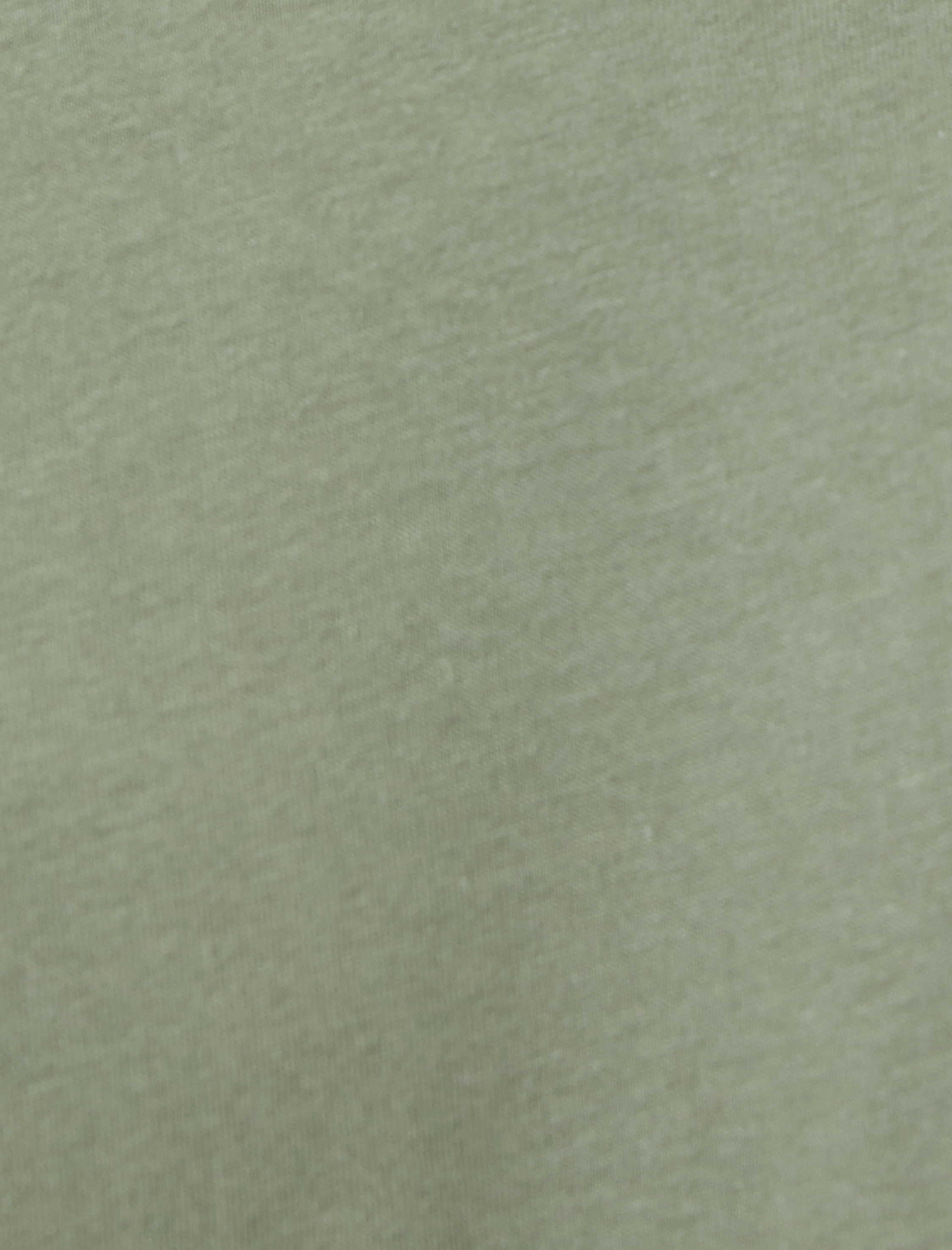   Basic Tişört Regular Fit Kısa Kollu Bisiklet Yaka Pamuklu