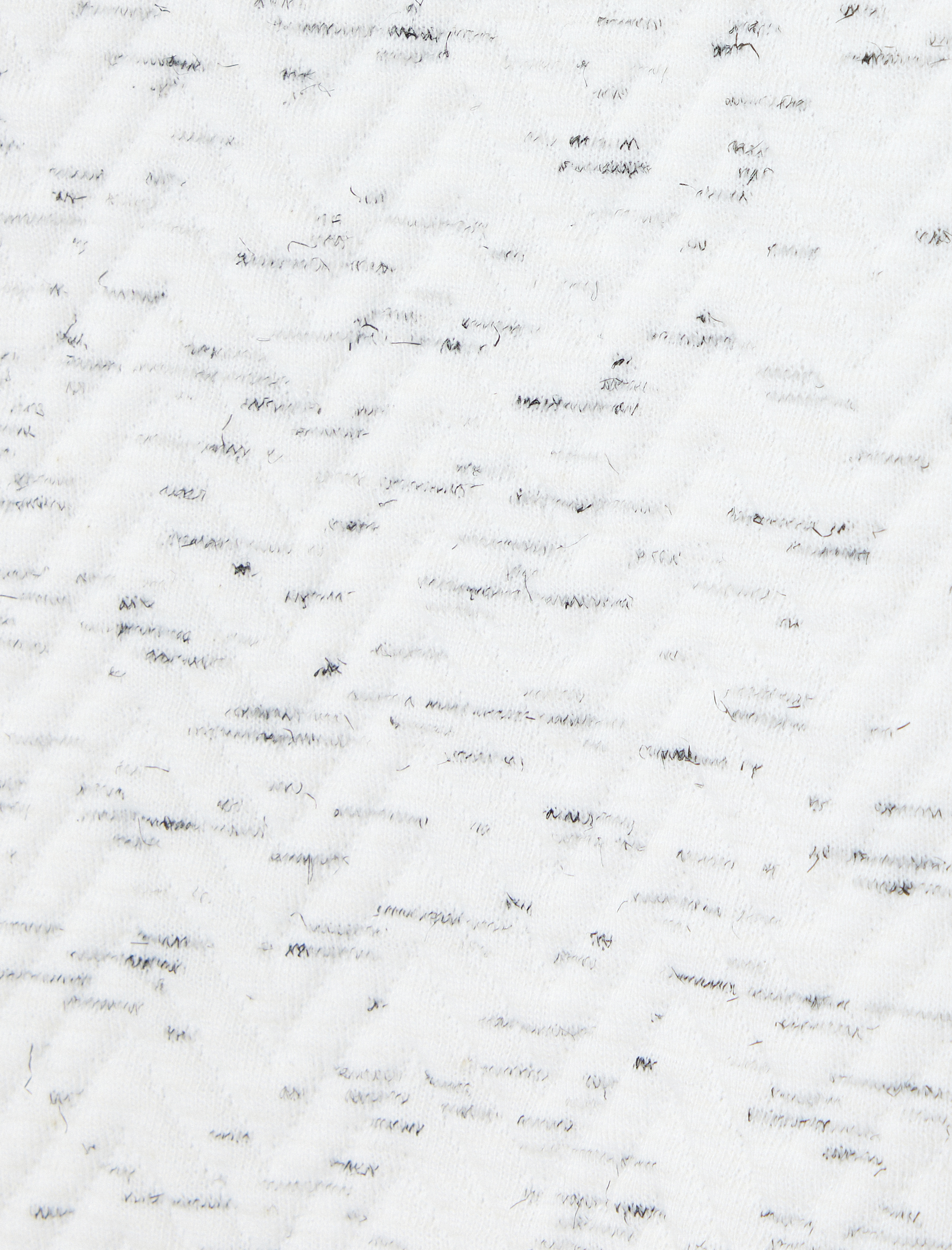   Slogan İşlemeli Sweatshirt Basic Dokulu Bisiklet Yaka Uzun Kollu