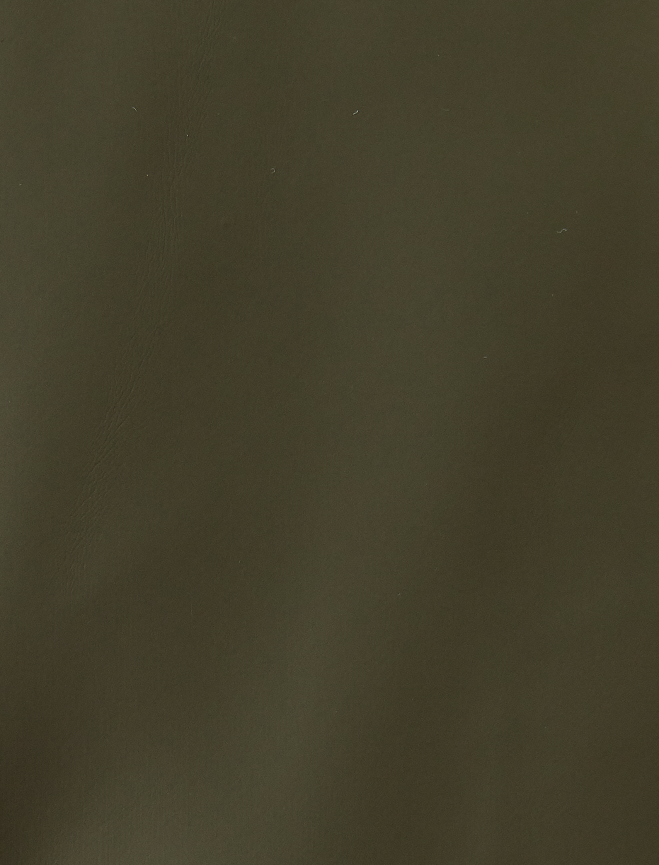   Şişme Yelek Slim Fit Dik Yaka