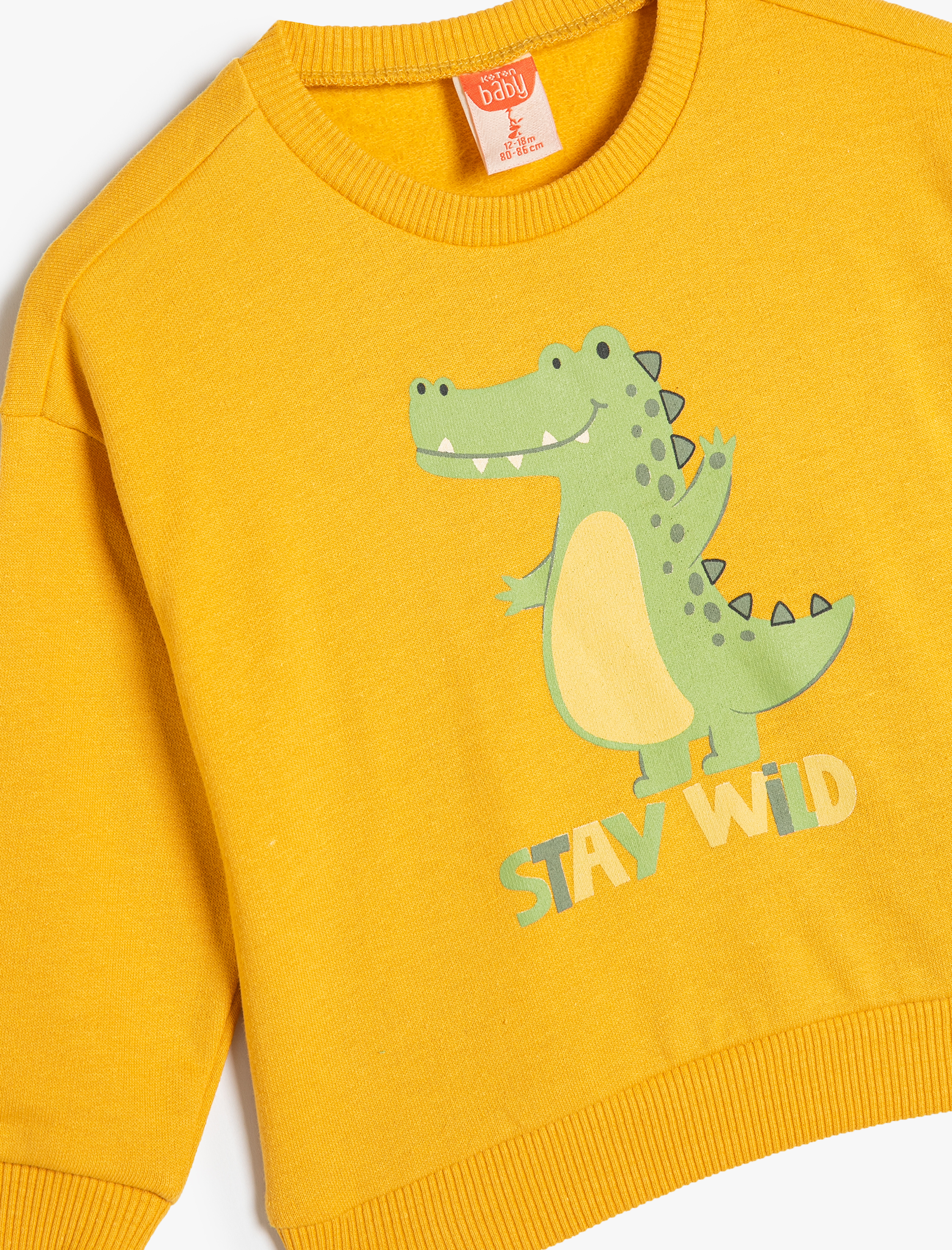 Erkek Bebek Sweatshirt Dinozor Baskılı Uzun Kollu Bisiklet Yaka Pamuklu Şardonlu
