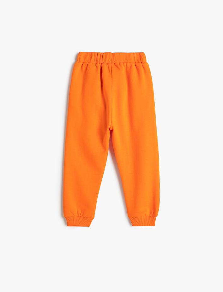 Erkek Bebek Basic Jogger Eşofman Altı Beli Lastikli Pamuklu Şardonlu