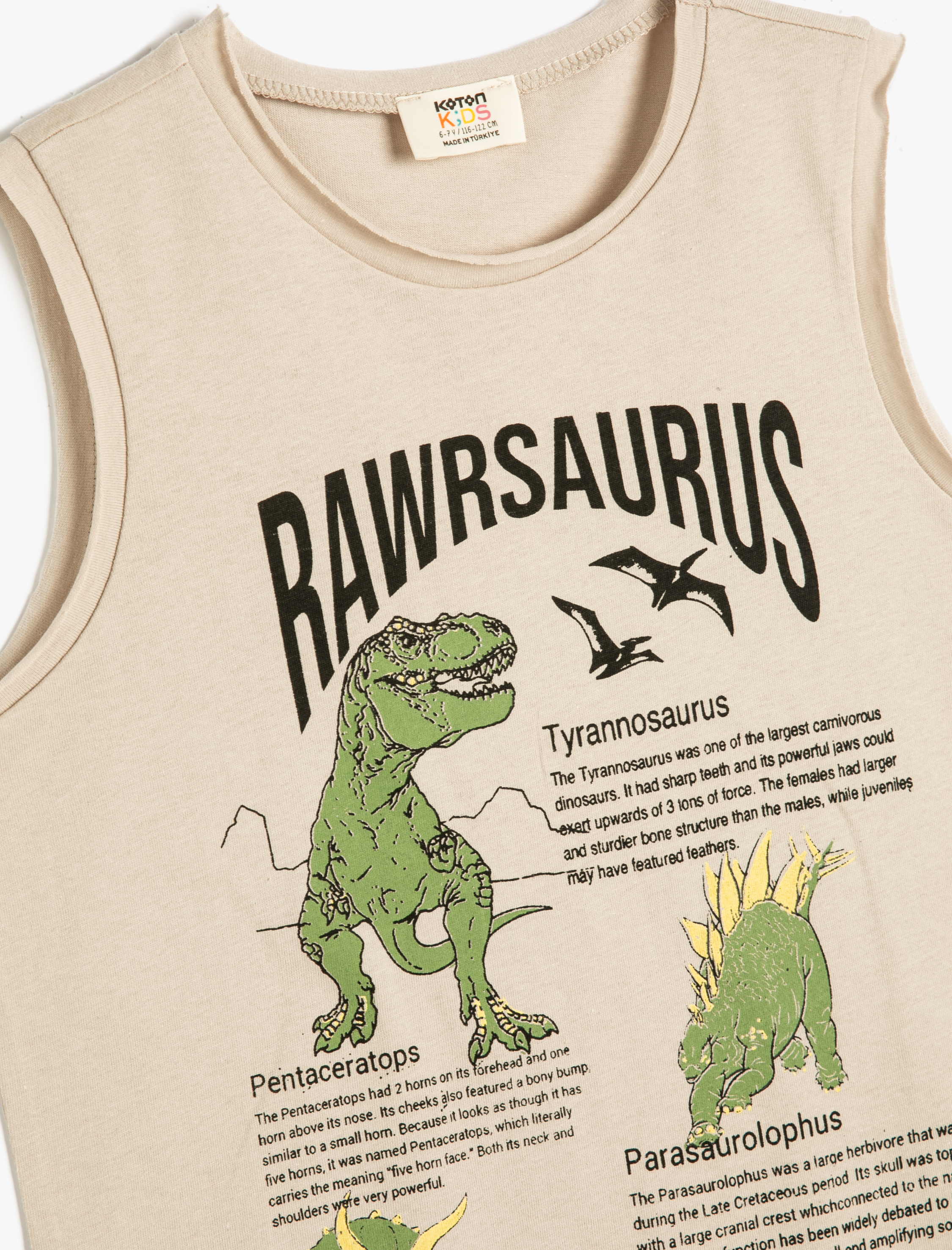  Erkek Çocuk Atlet Bisiklet Yaka Dinozor Baskılı Pamuklu