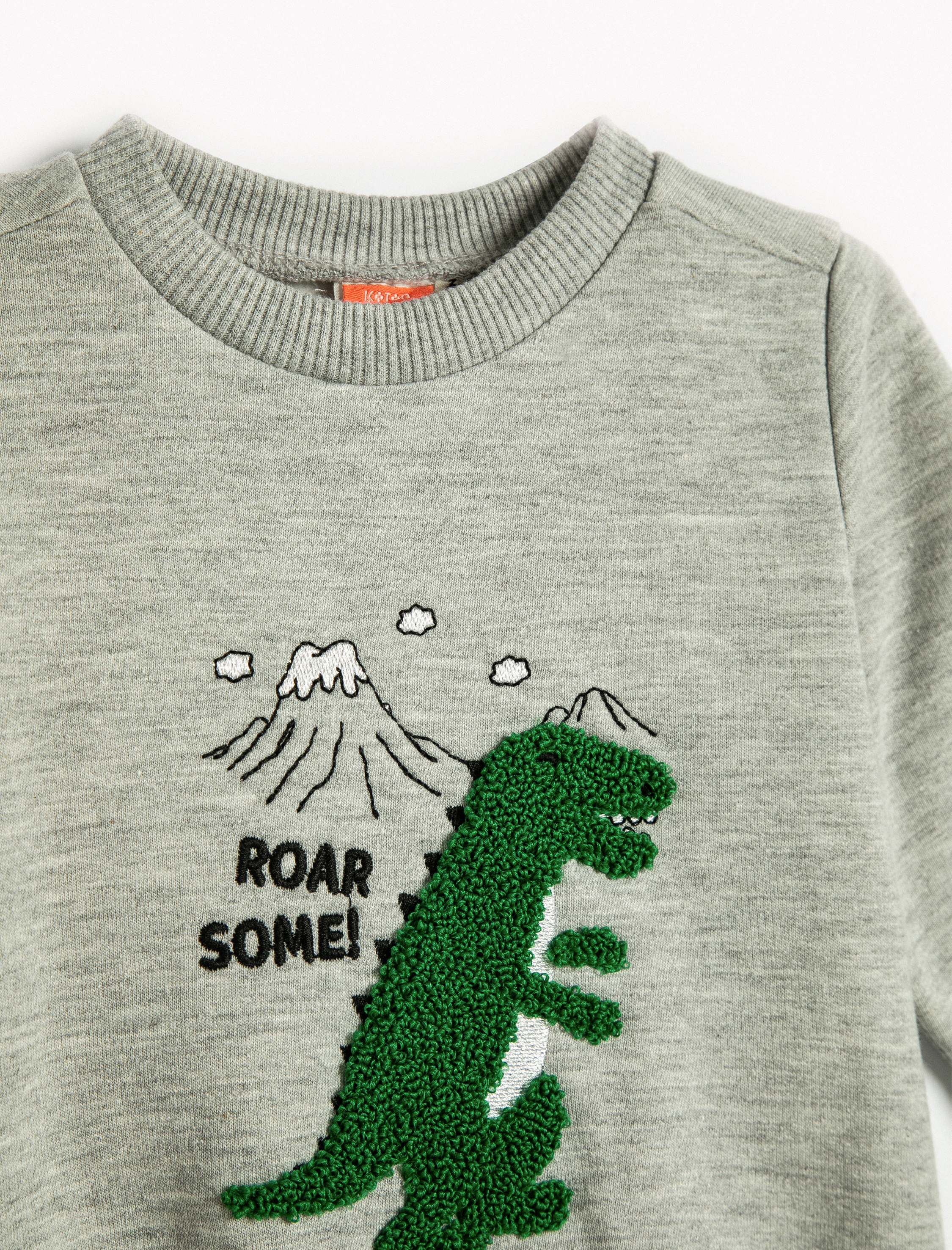  Erkek Bebek Sweatshirt Dinozor Peluş Aplike Detaylı Şardonlu Bisiklet Yaka