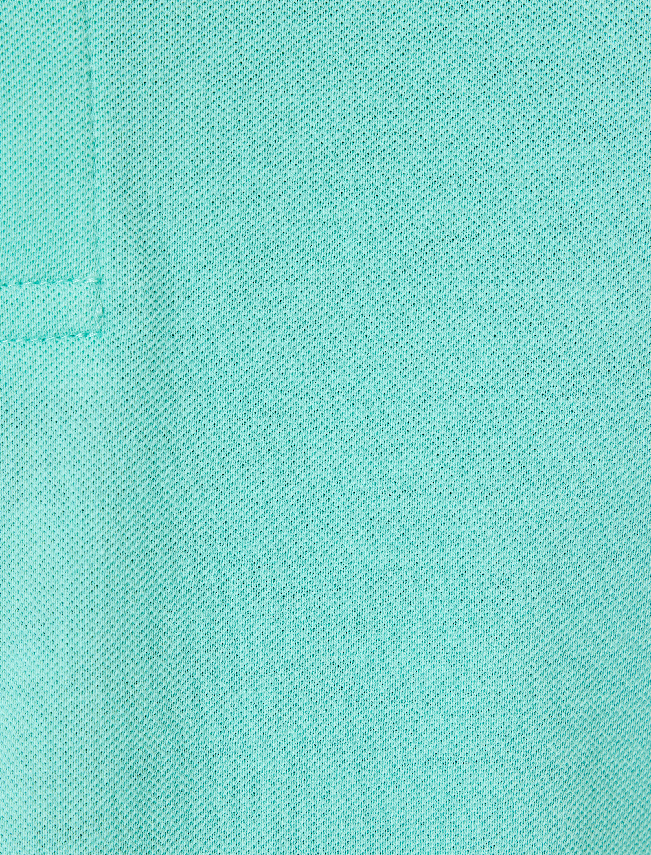   Slim Fit Tişört Polo Yaka Kısa Kollu Pamuklu