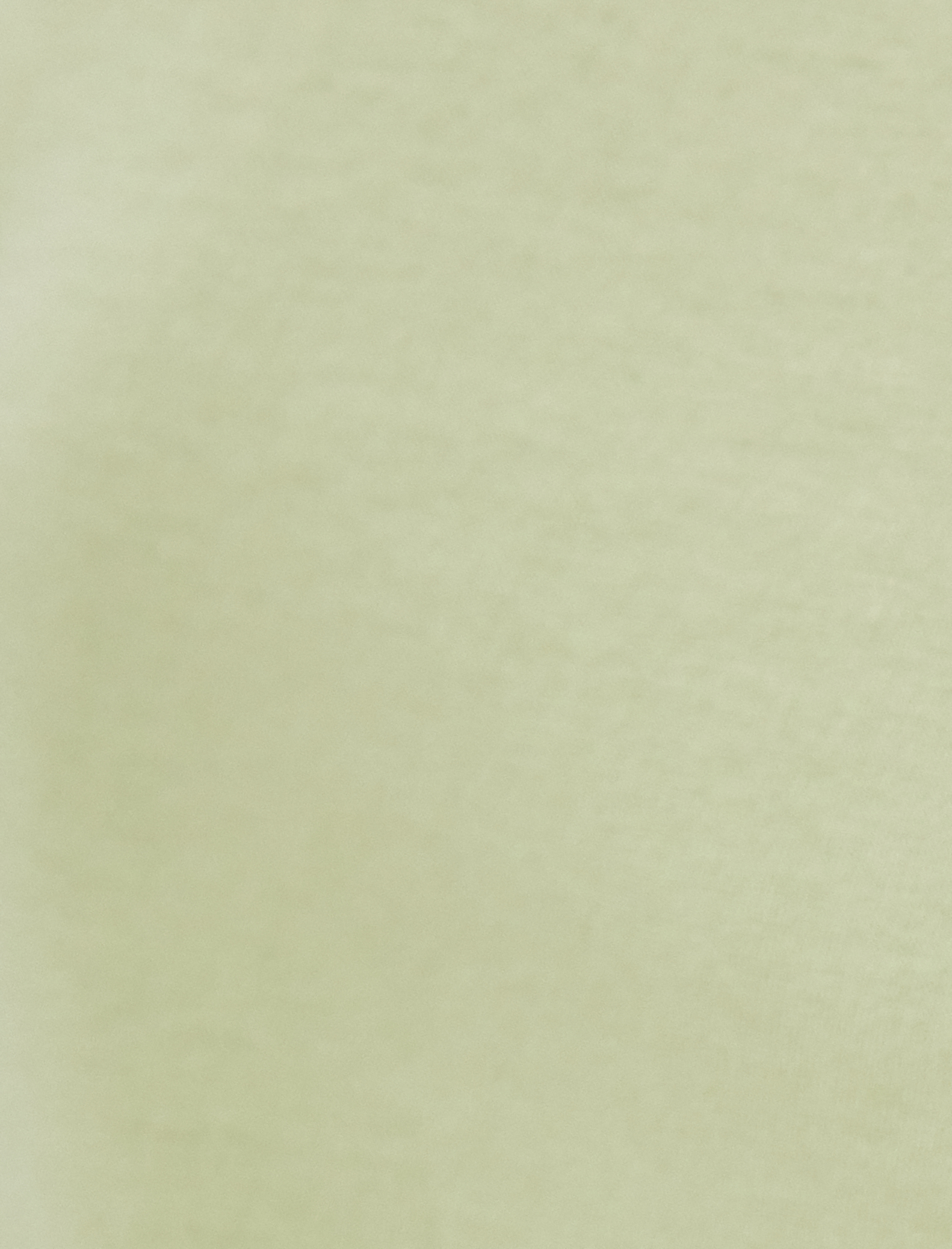   Cep Detaylı Kısa Kollu Tişört Bisiklet Yaka Pamuklu