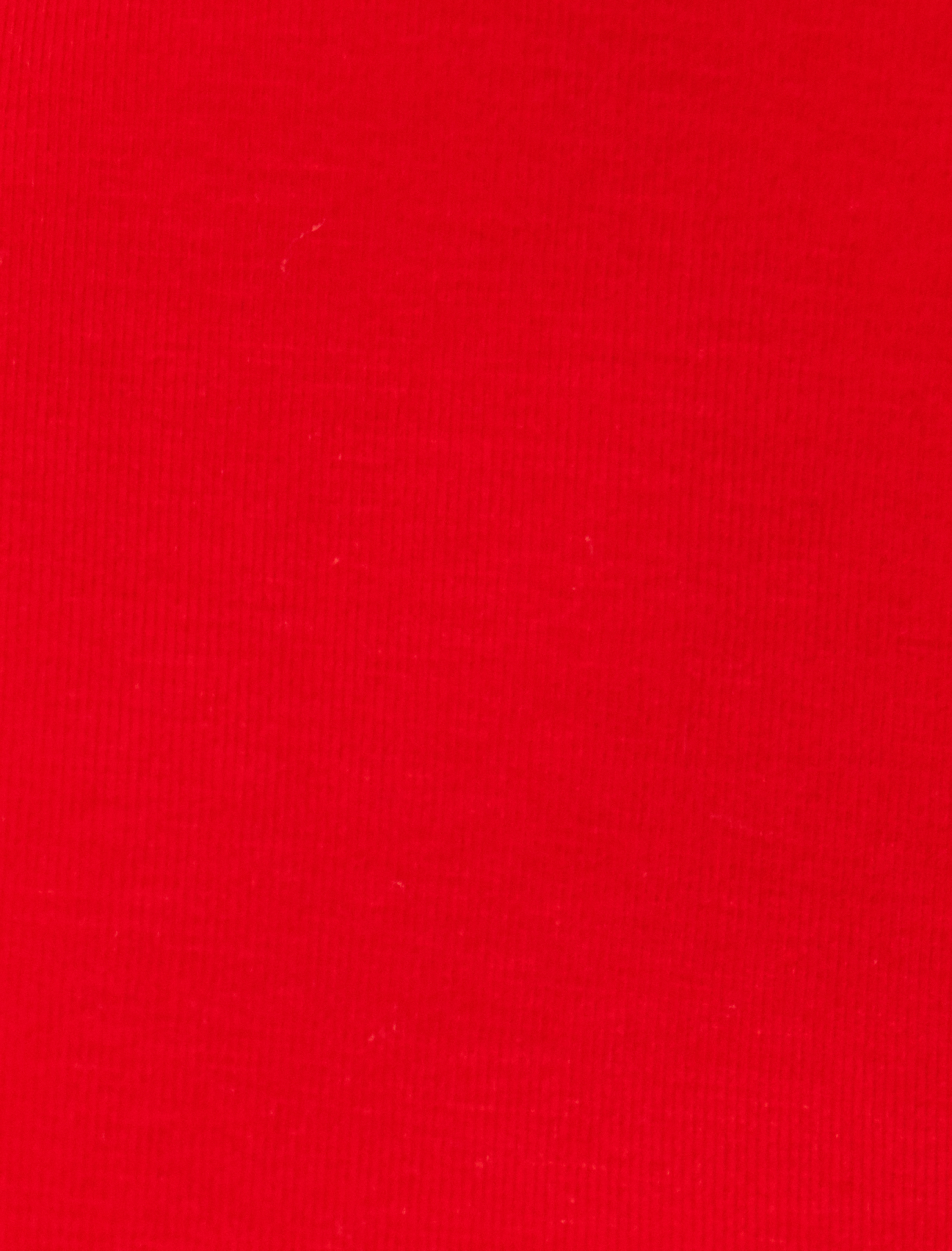   Kısa Kollu Tişört Slogan Temalı İşlemeli Bisiklet Yaka