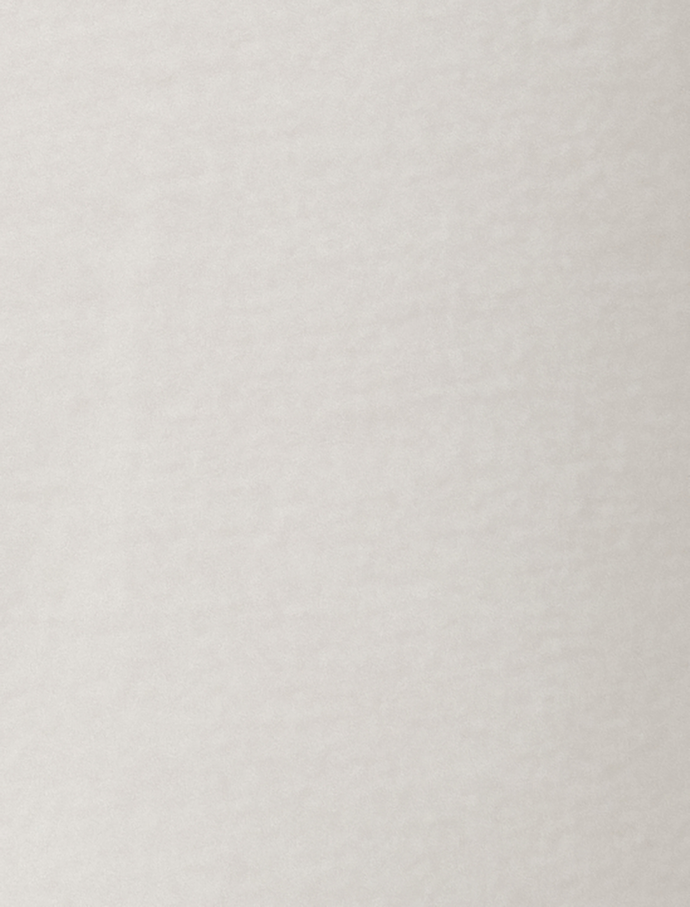   Drapeli Dik Yaka Bluz