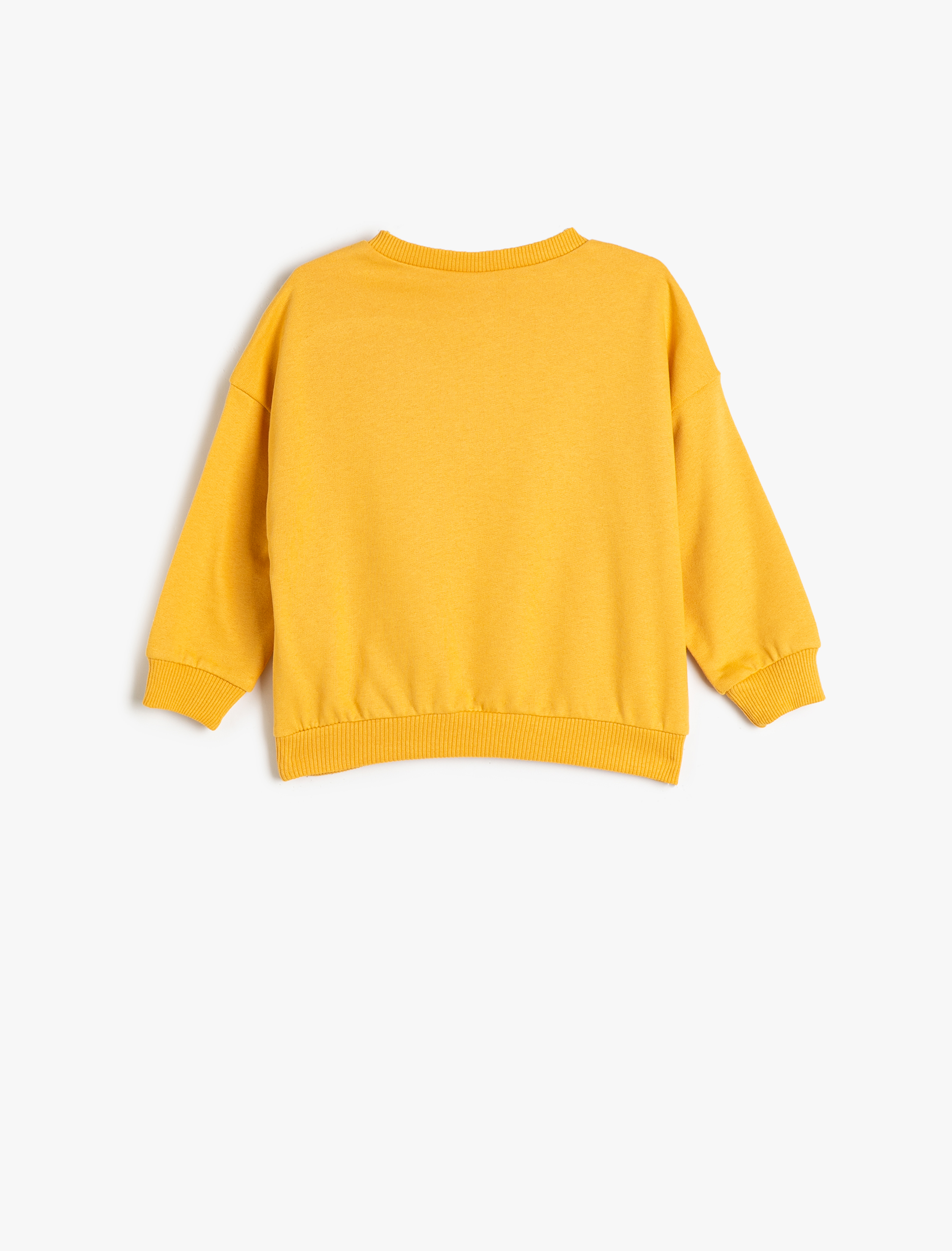  Erkek Bebek Dinozor Baskılı Uzun Kollu Bisiklet Yaka Şardonlu Pamuklu