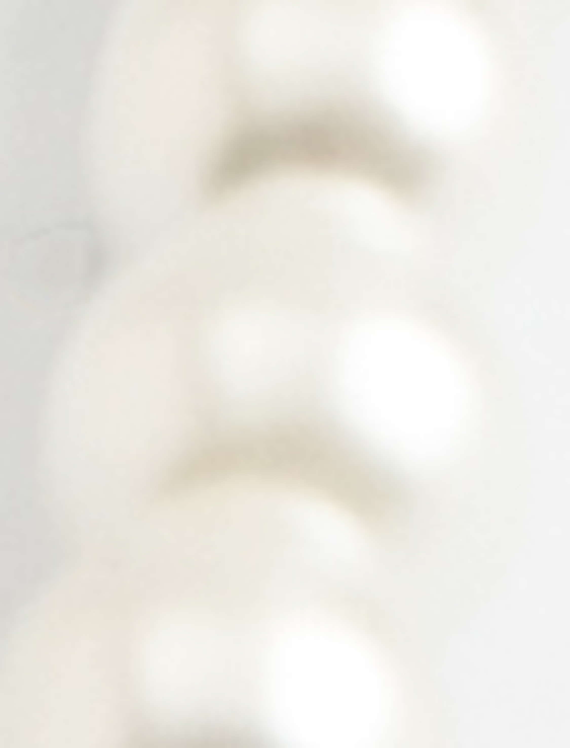  Kadın İnci Fiyonk Küpe