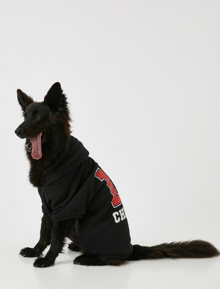   Kapüşonlu Köpek Sweatshirt