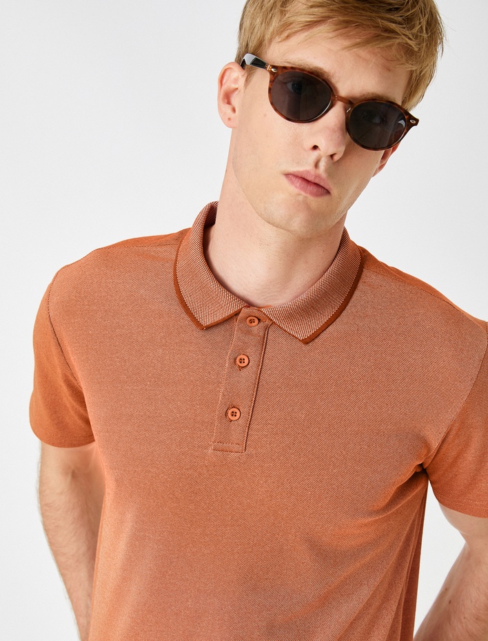  Basic Tişört Polo Yaka